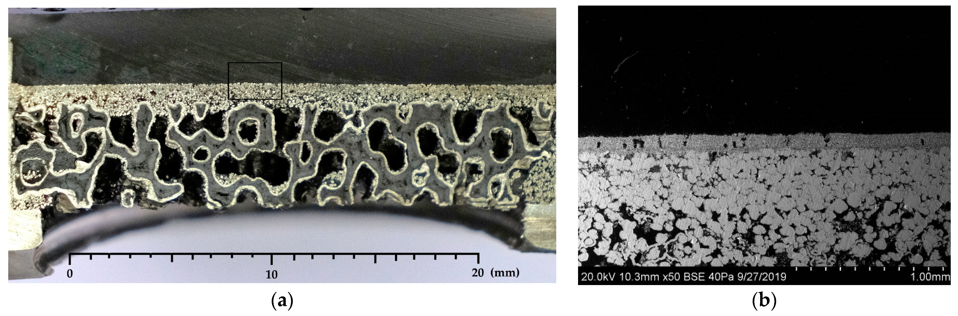 Membranes 11 00332 g002