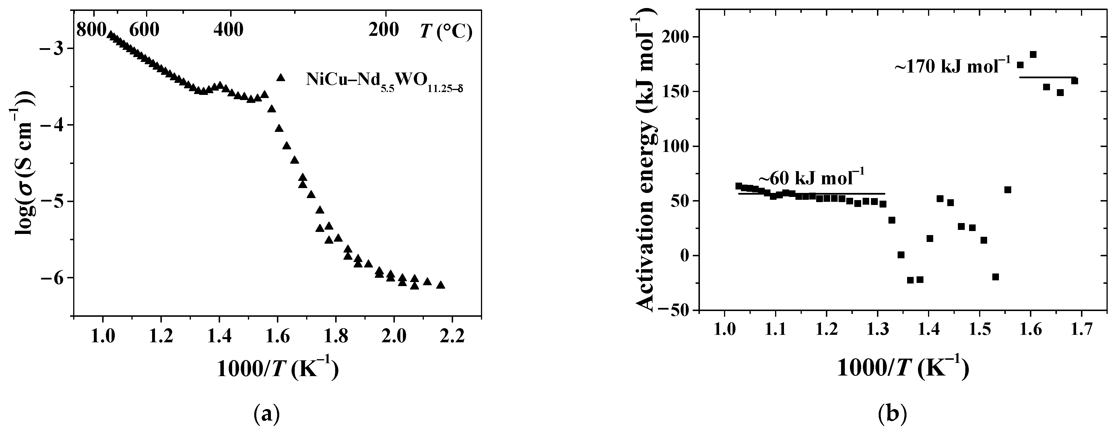 Membranes 11 00332 g003