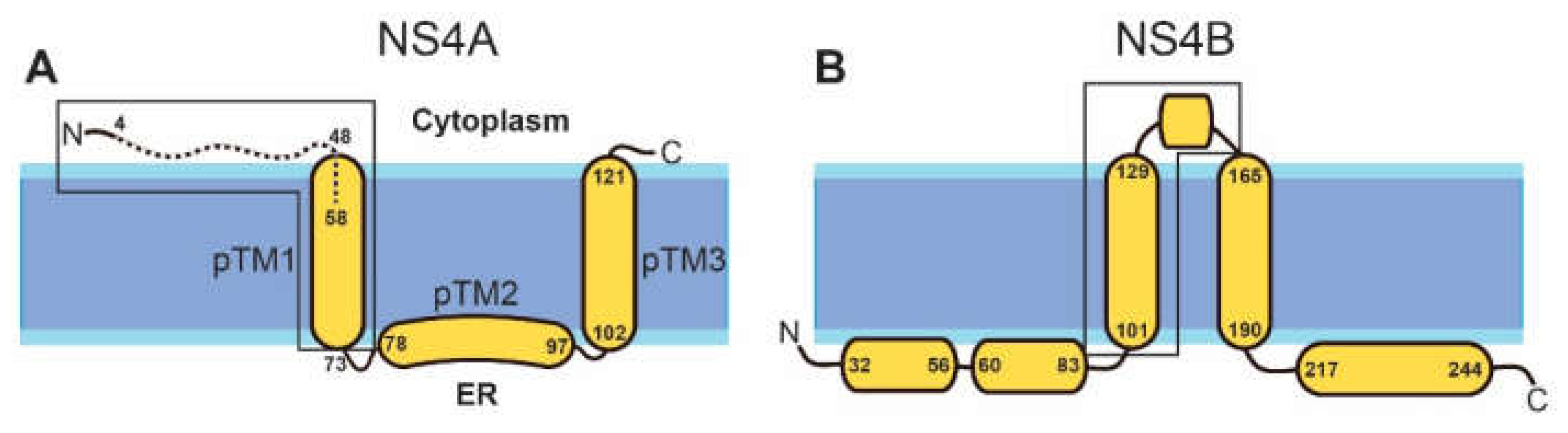 Membranes 11 00335 g001