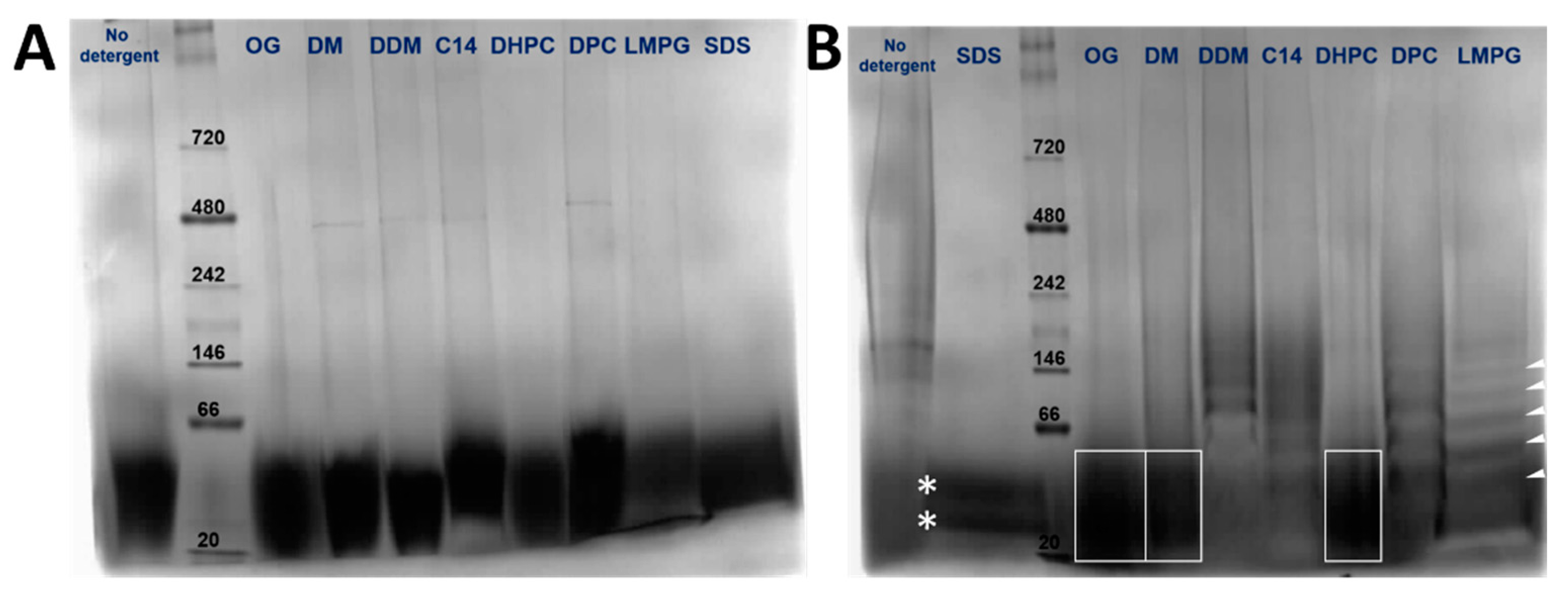 Membranes 11 00335 g003