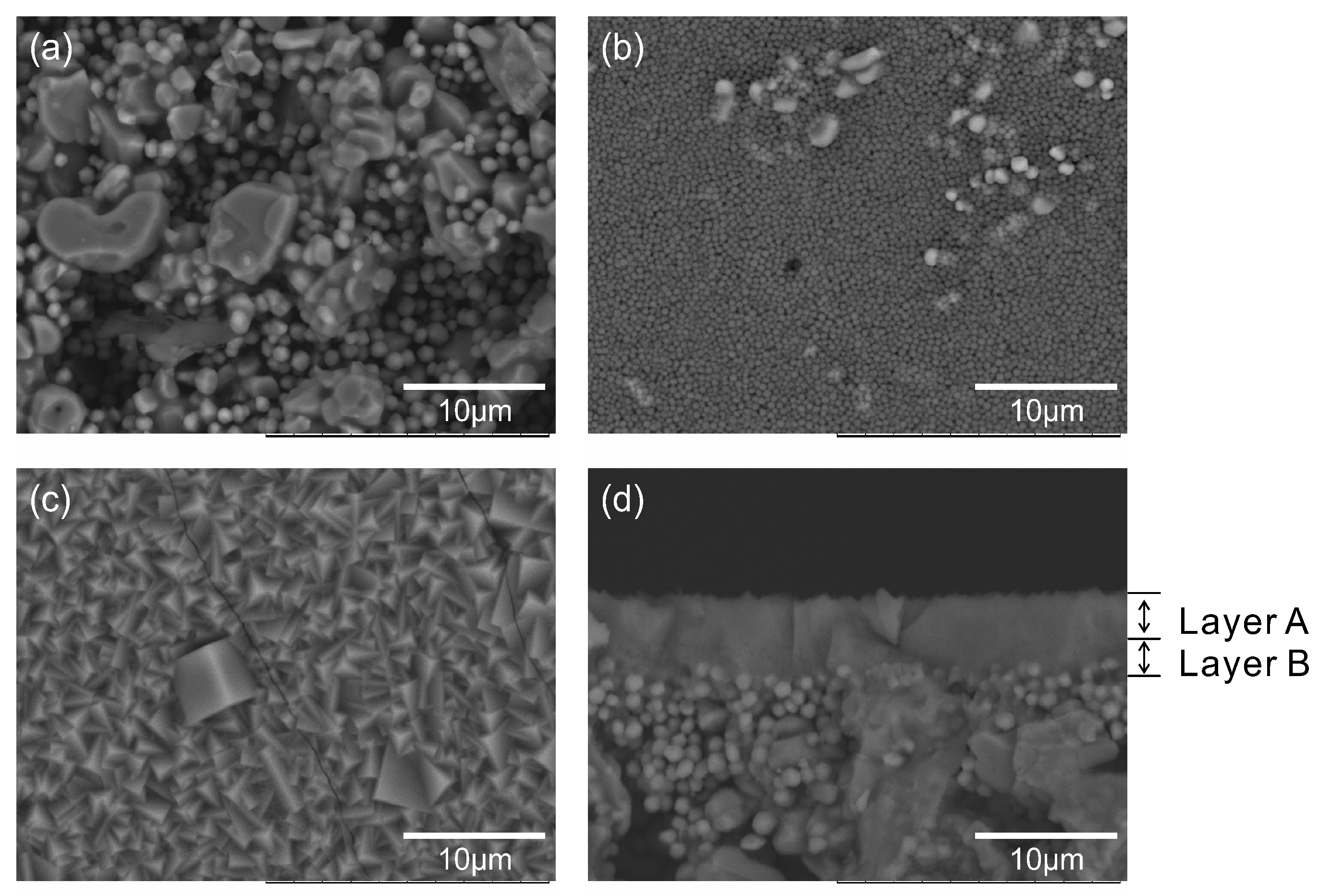 Membranes 11 00347 g002