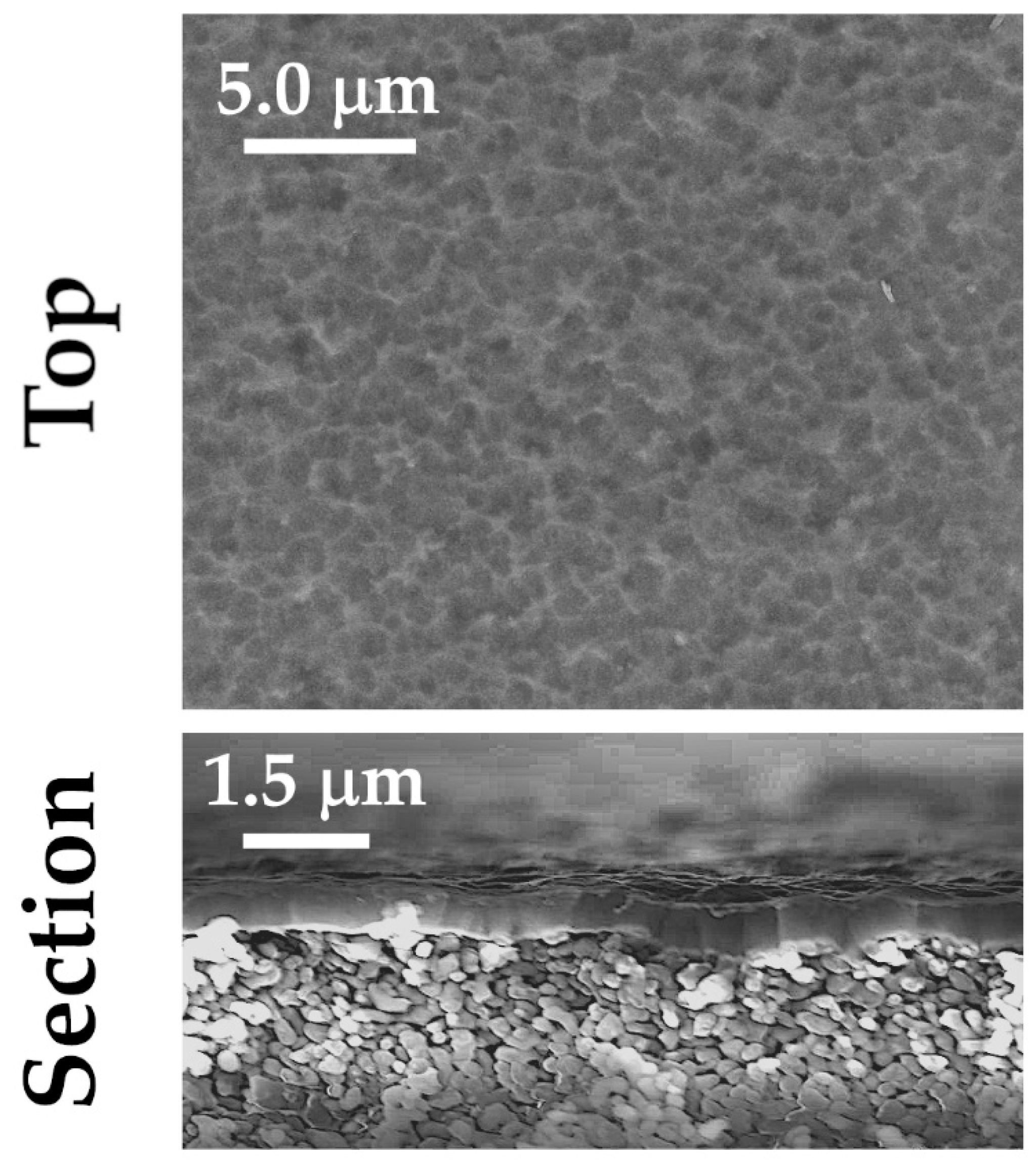 Membranes 11 00360 g003