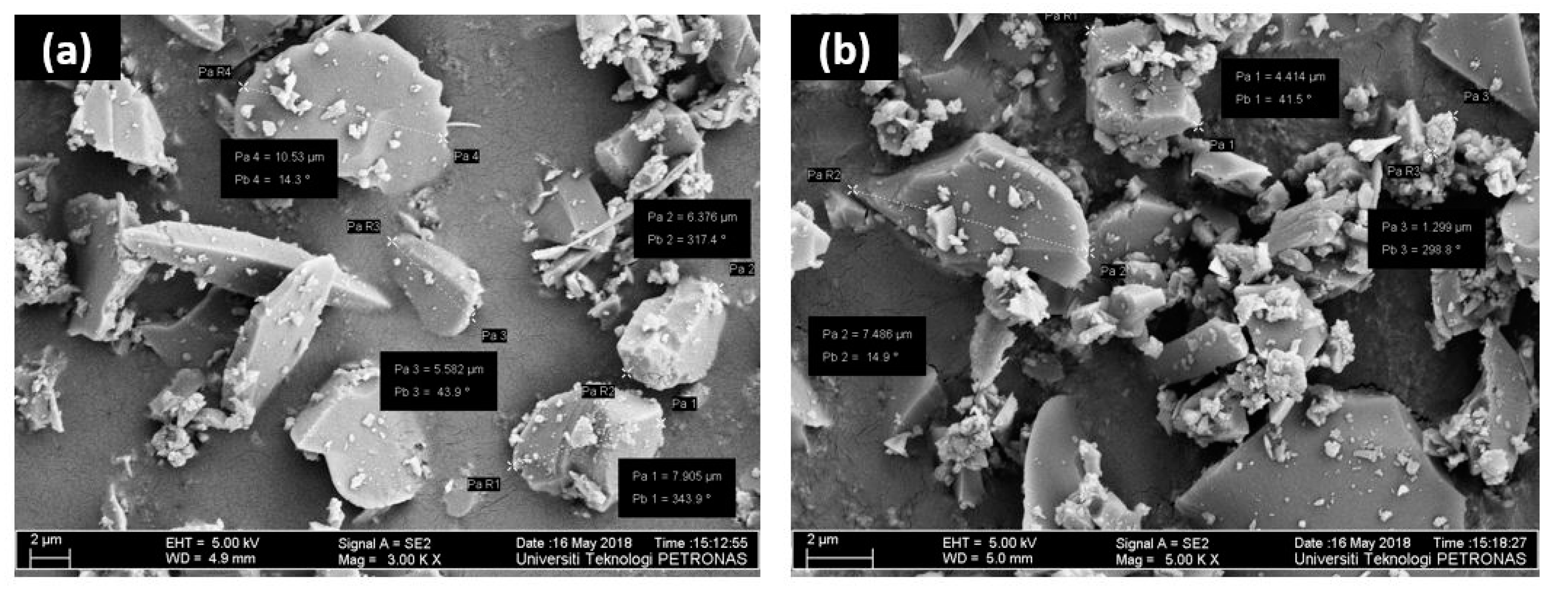 Membranes 11 00371 g002