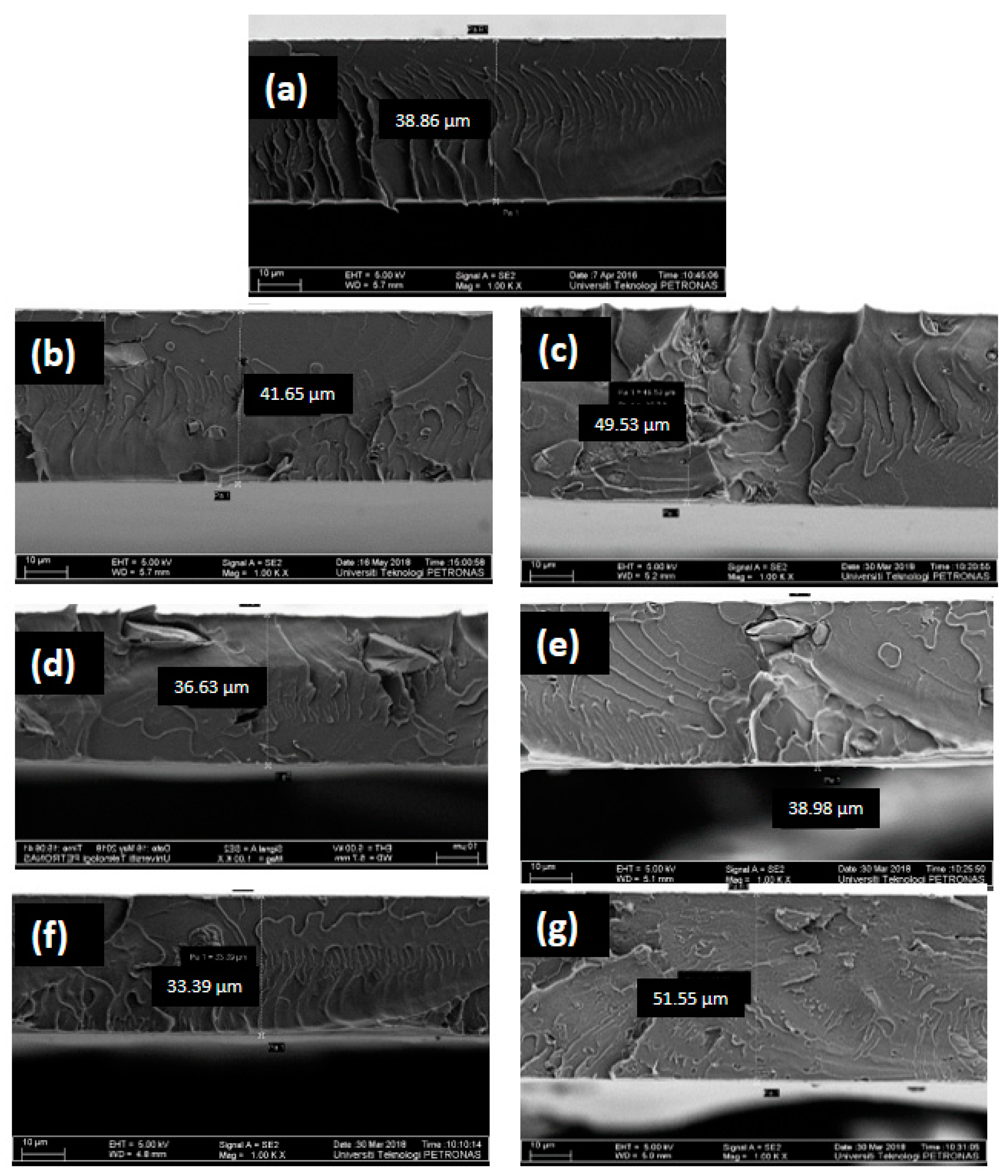 Membranes 11 00371 g003