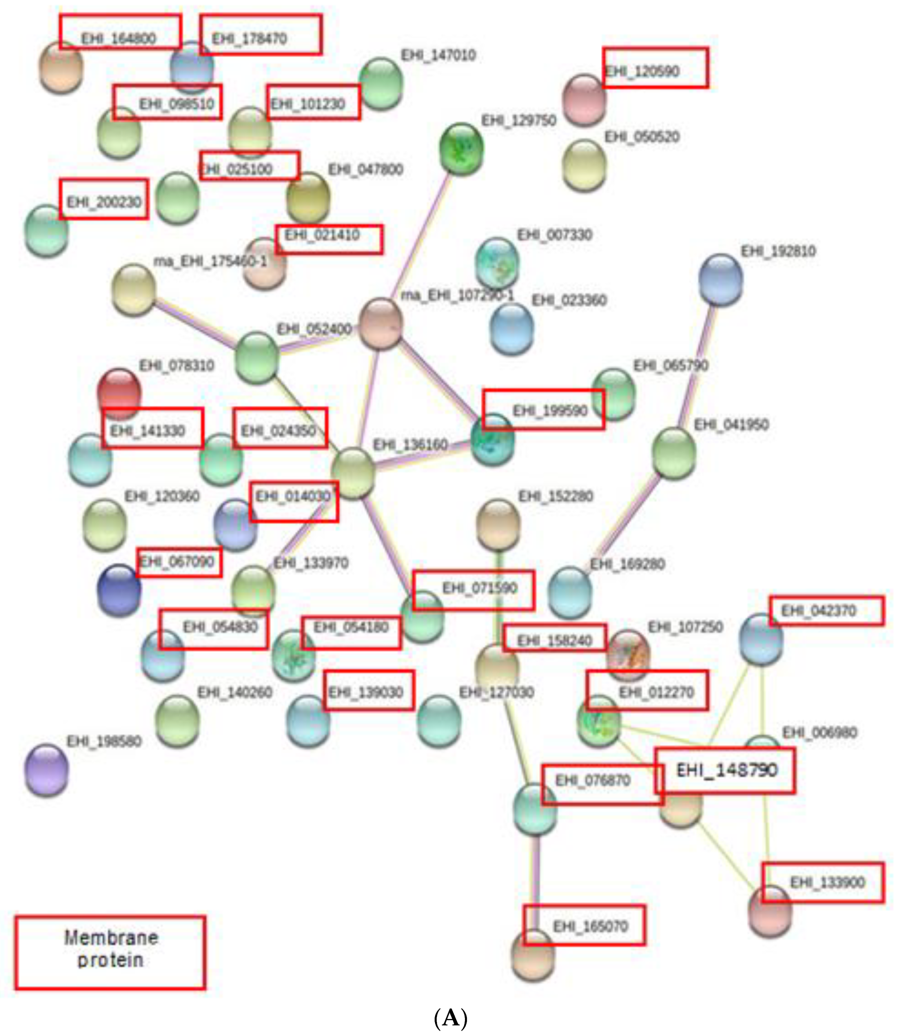 Membranes 11 00376 g004a