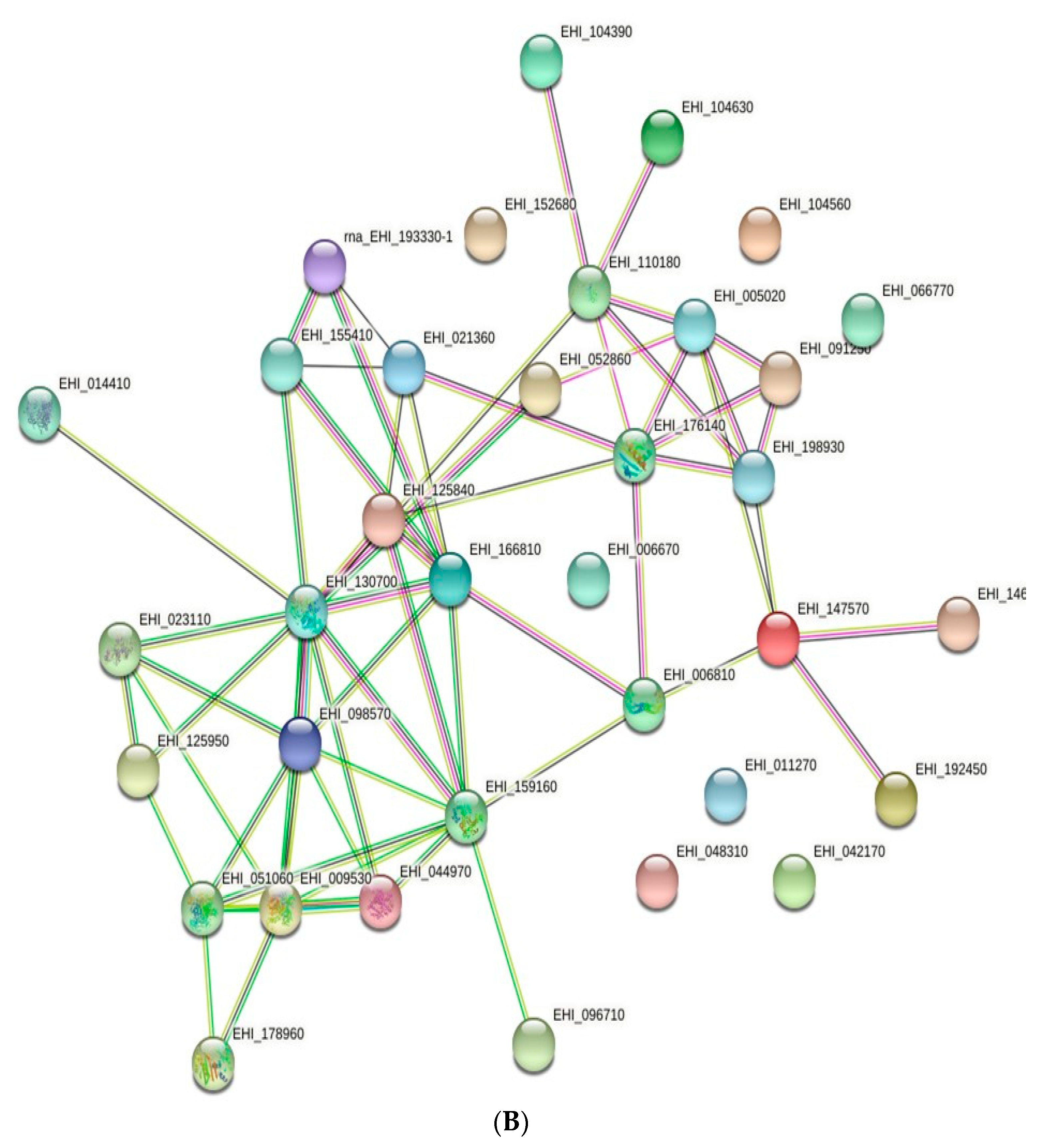 Membranes 11 00376 g004b