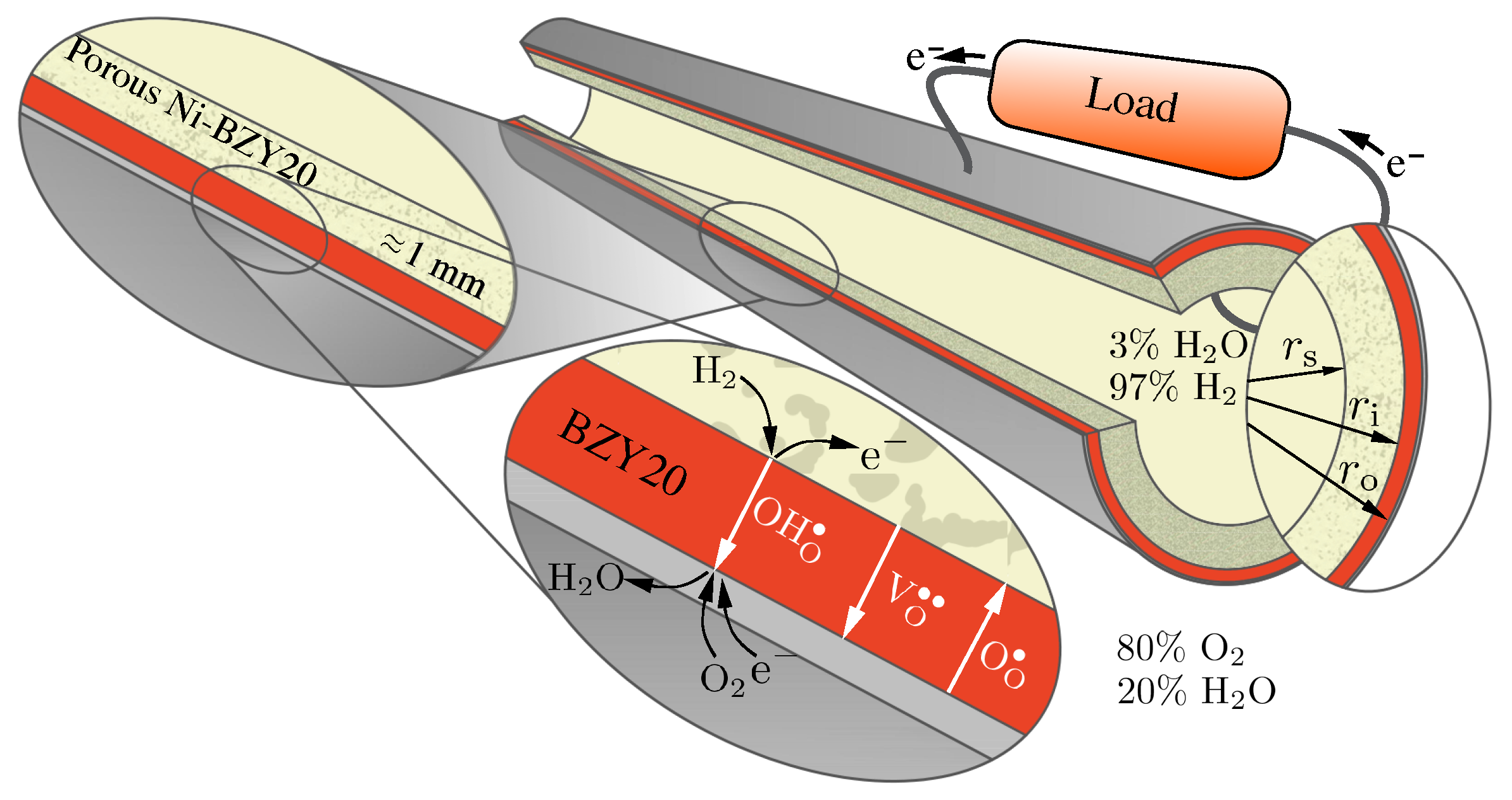 Membranes 11 00378 g001