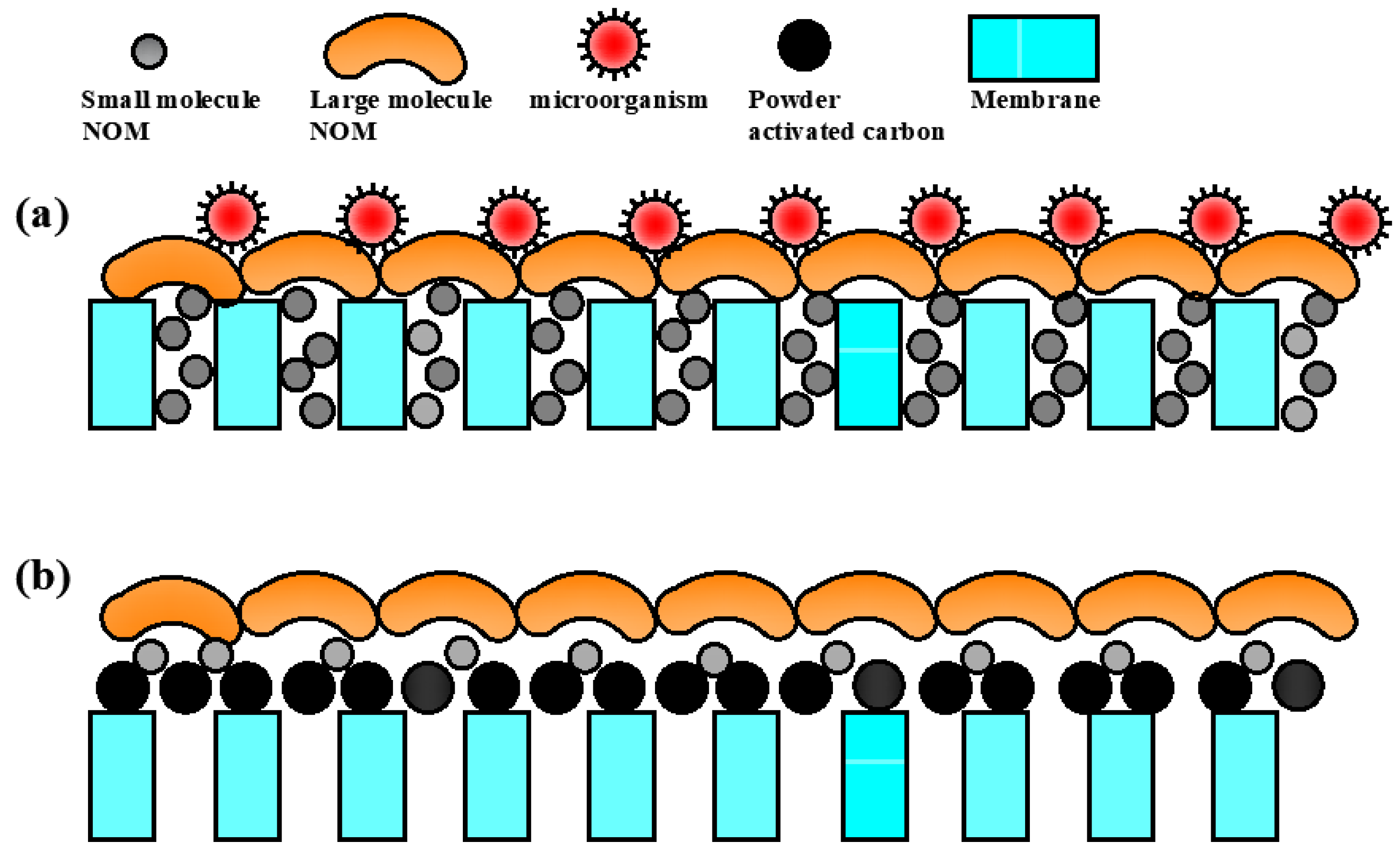 Membranes 11 00380 g008 Membranes 11 00380 g008
