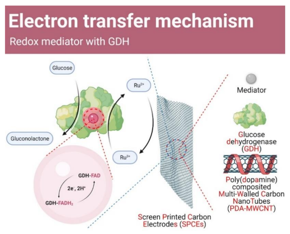 Membranes 11 00384 sch002 Membranes 11 00384 sch002