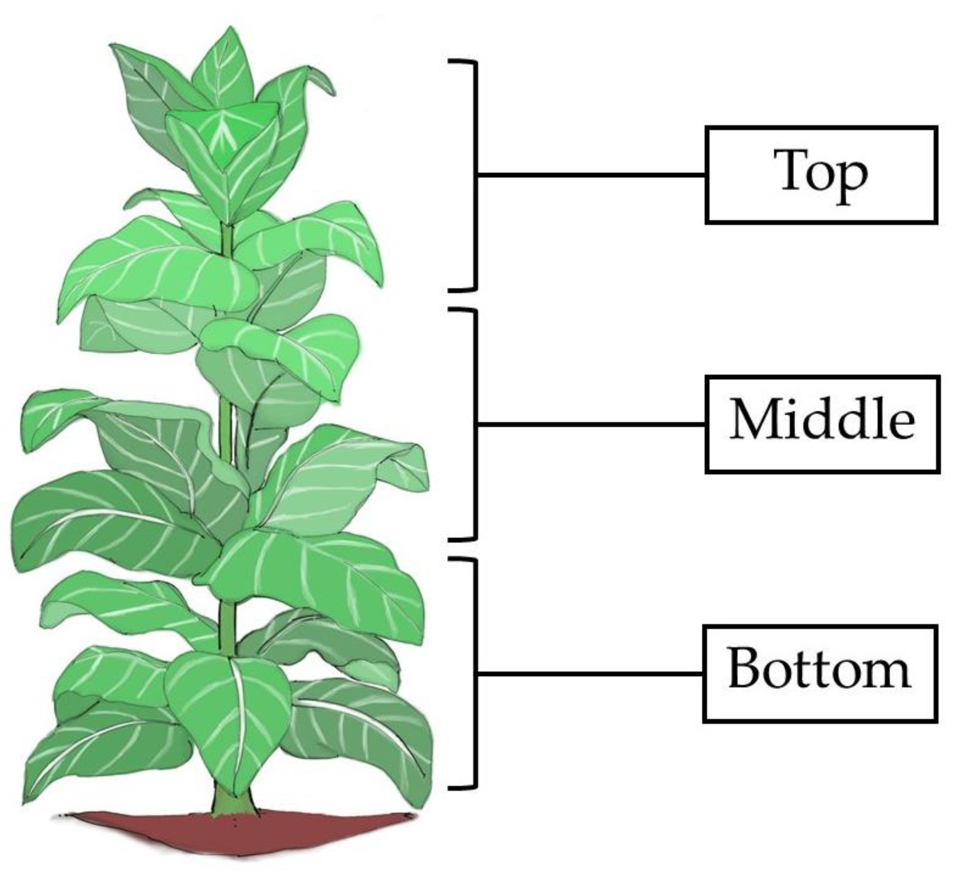 Membranes 11 00403 g001 Membranes 11 00403 g001