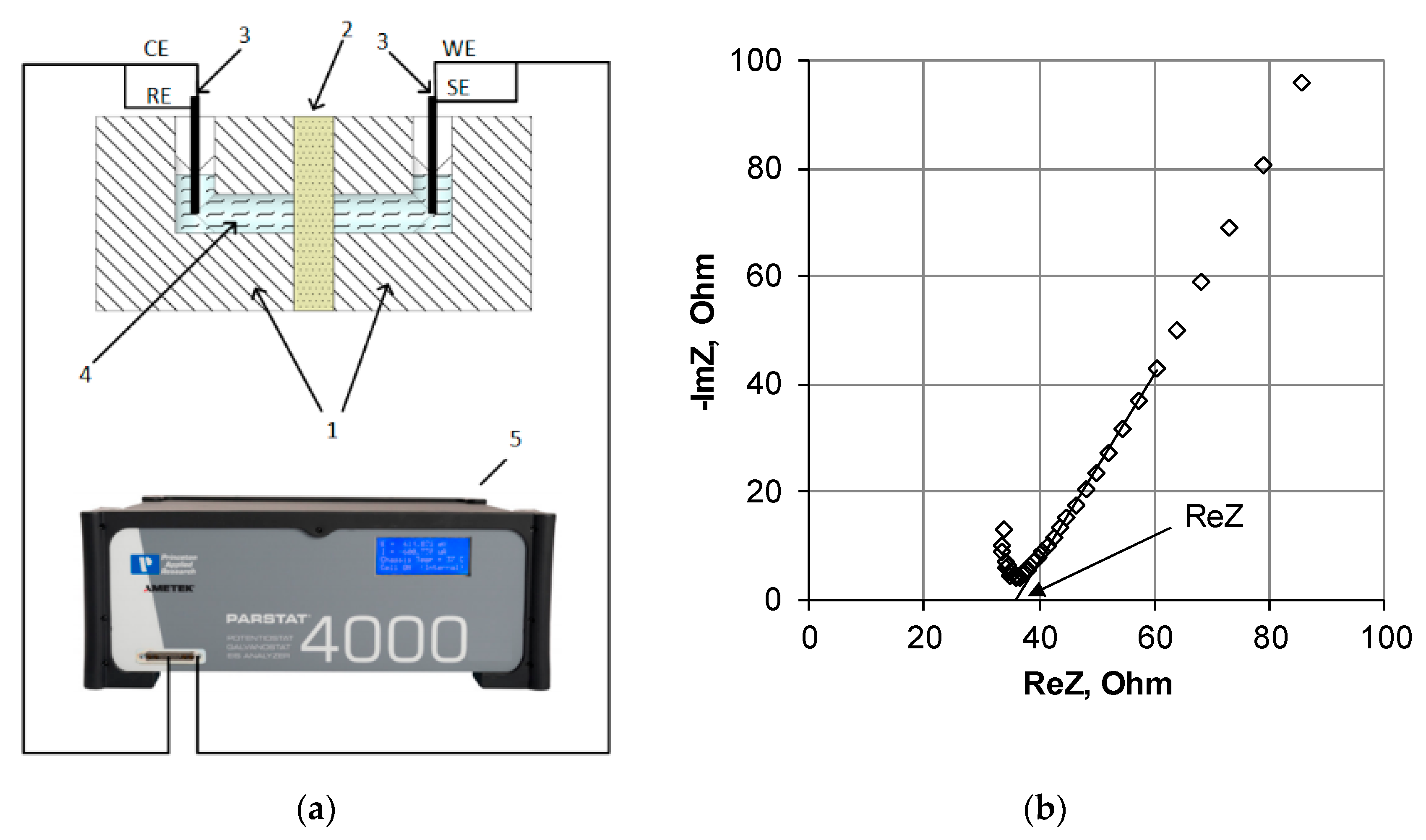 Membranes 11 00406 g003 Membranes 11 00406 g003