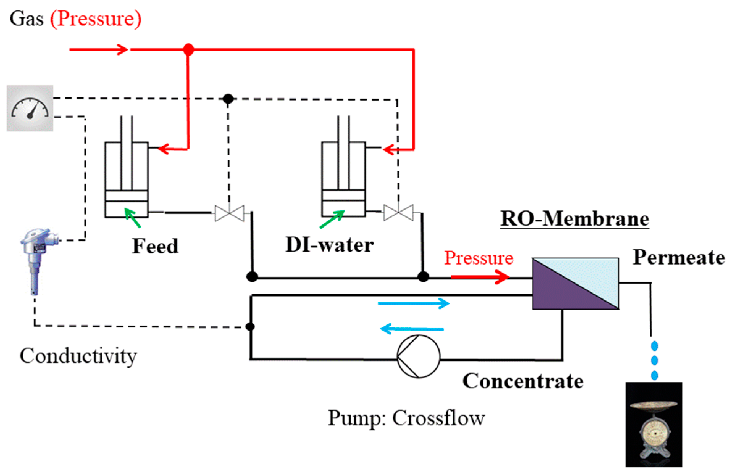 Membranes 11 00413 g0a3