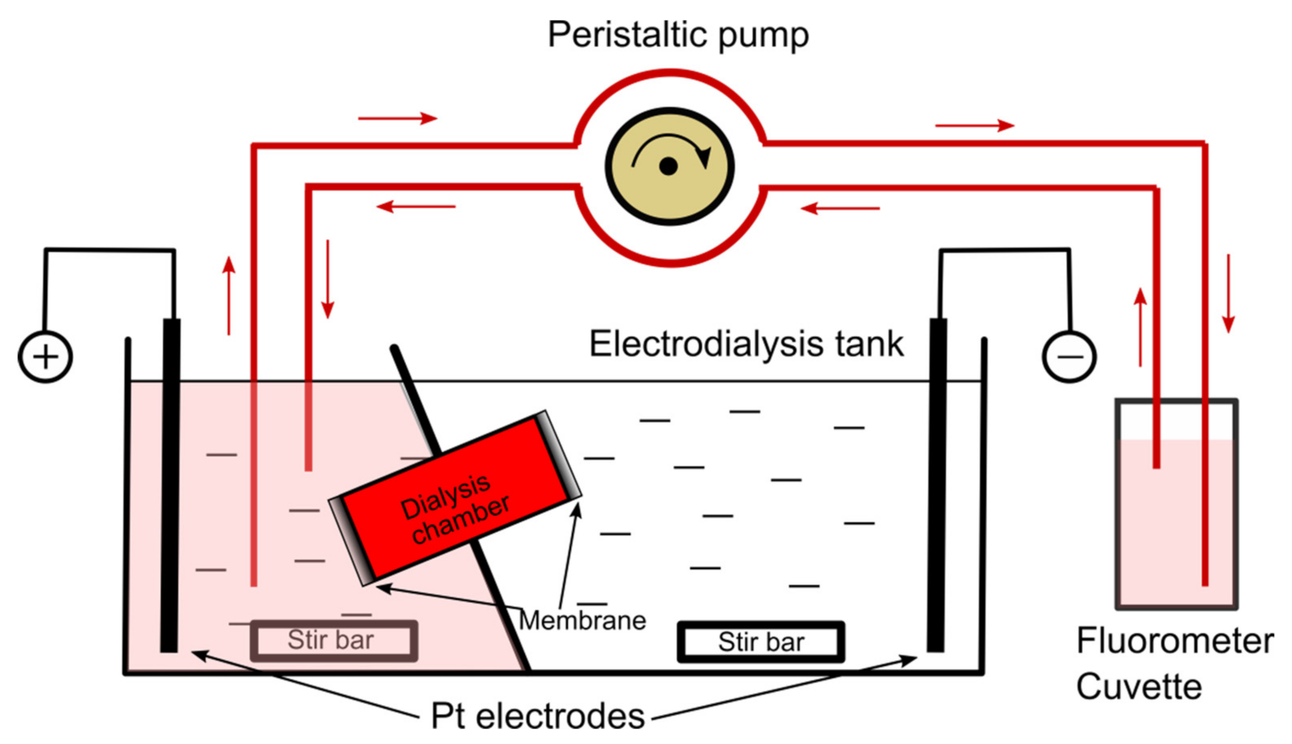 Membranes 11 00417 g001