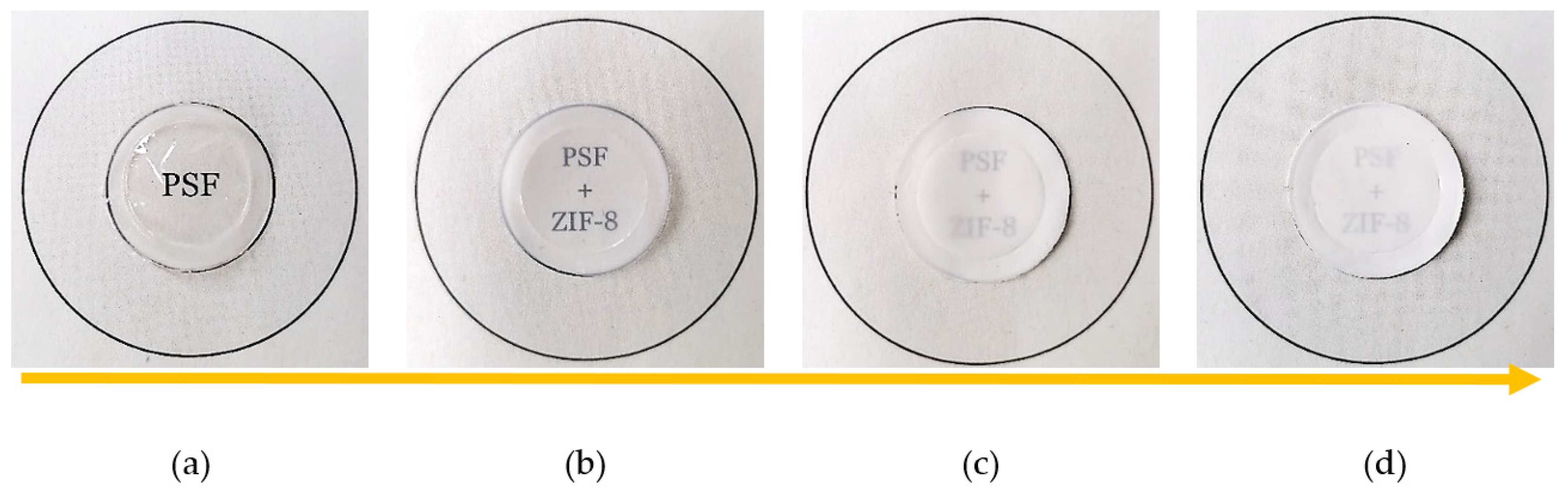 Membranes 11 00427 g002