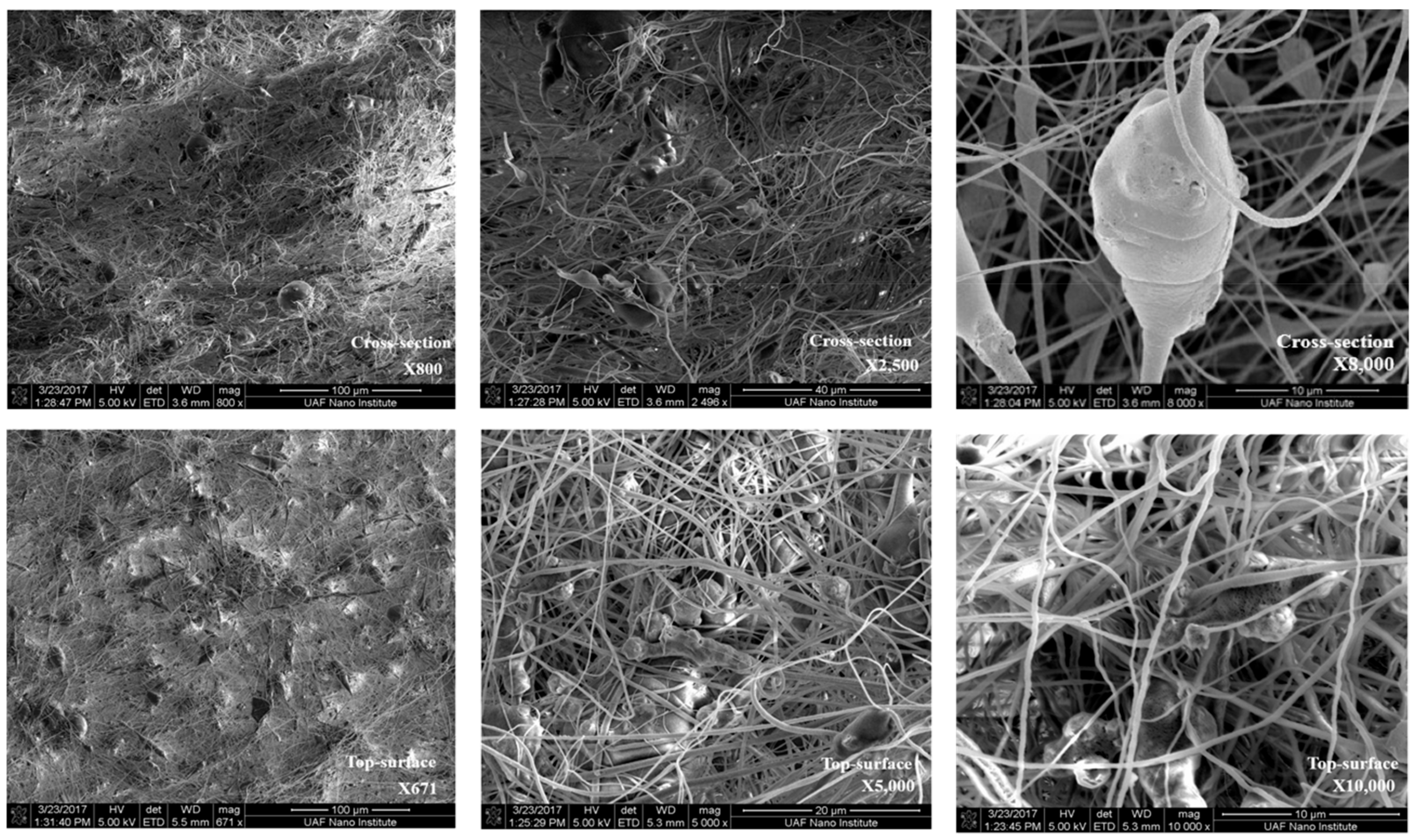 Membranes 11 00440 g002