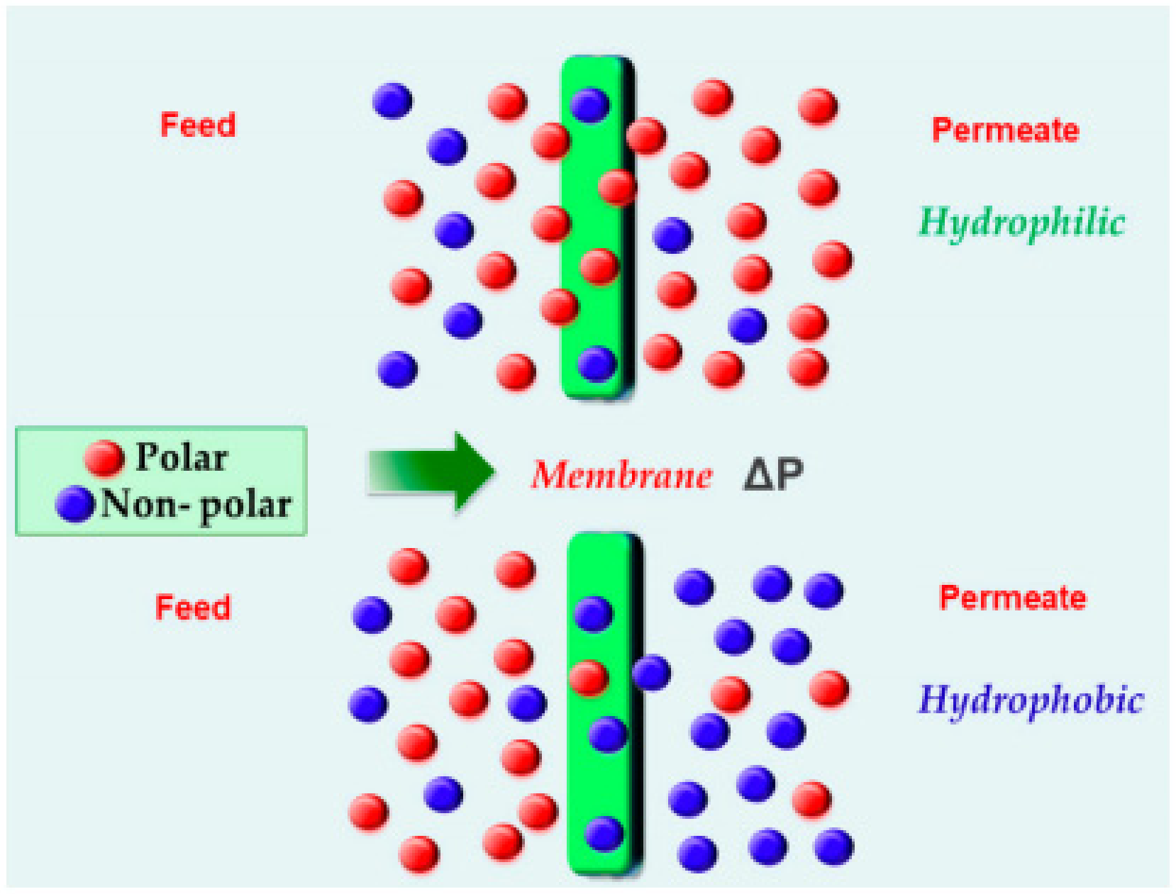 Membranes 11 00441 g003 Membranes 11 00441 g003