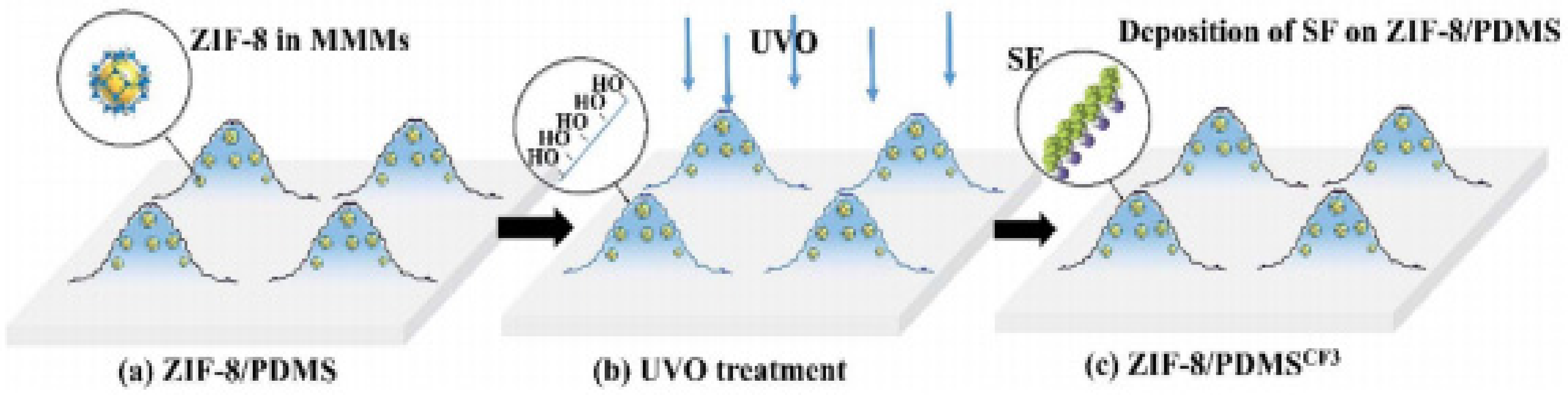 Membranes 11 00441 g005 Membranes 11 00441 g005