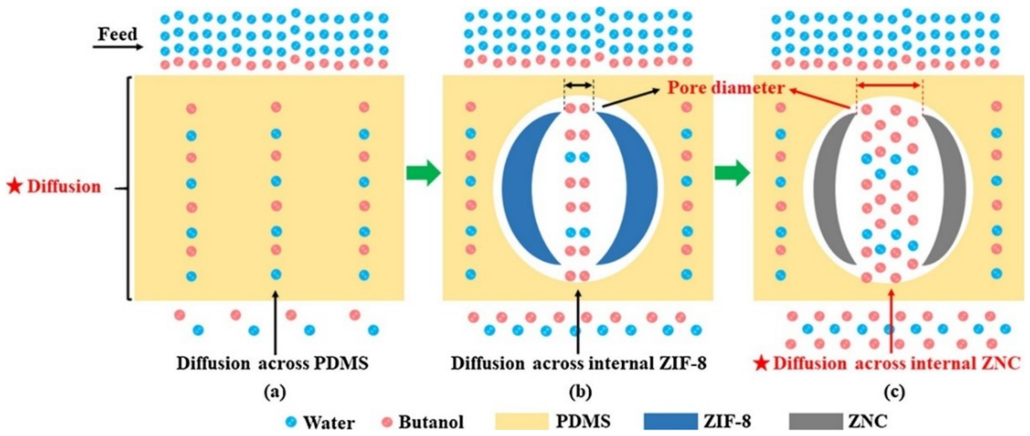 Membranes 11 00441 g006 Membranes 11 00441 g006