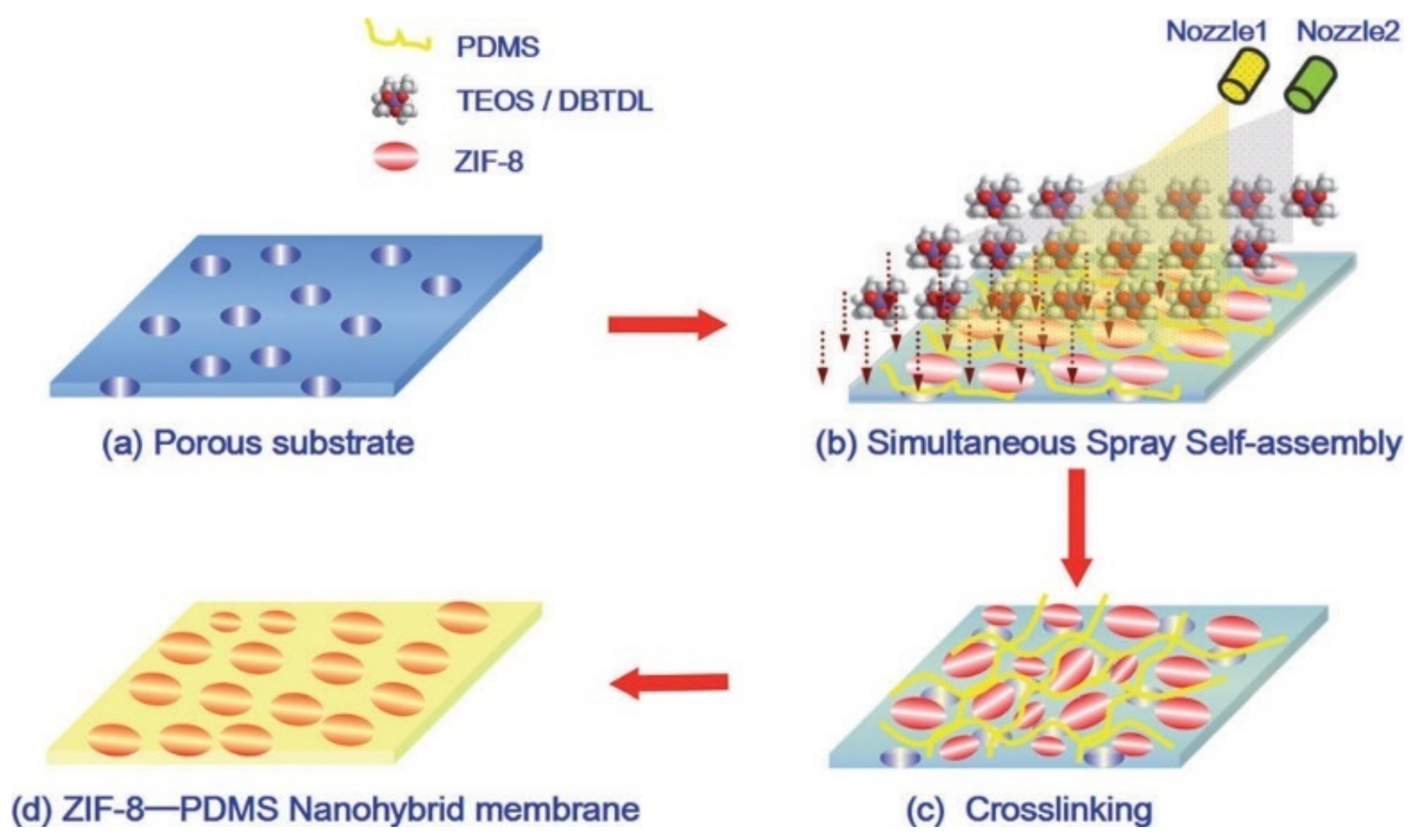 Membranes 11 00441 g009 Membranes 11 00441 g009