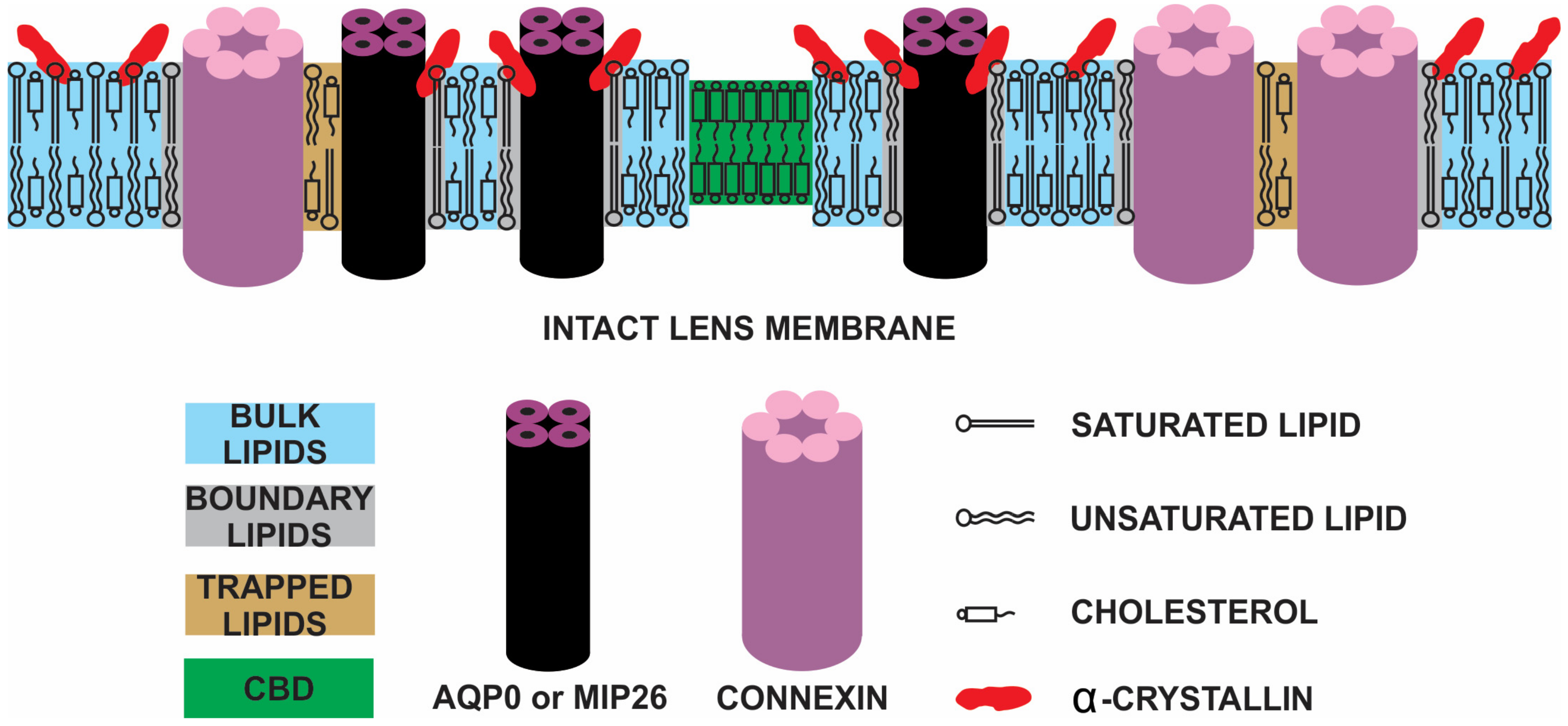 Membranes 11 00447 g007
