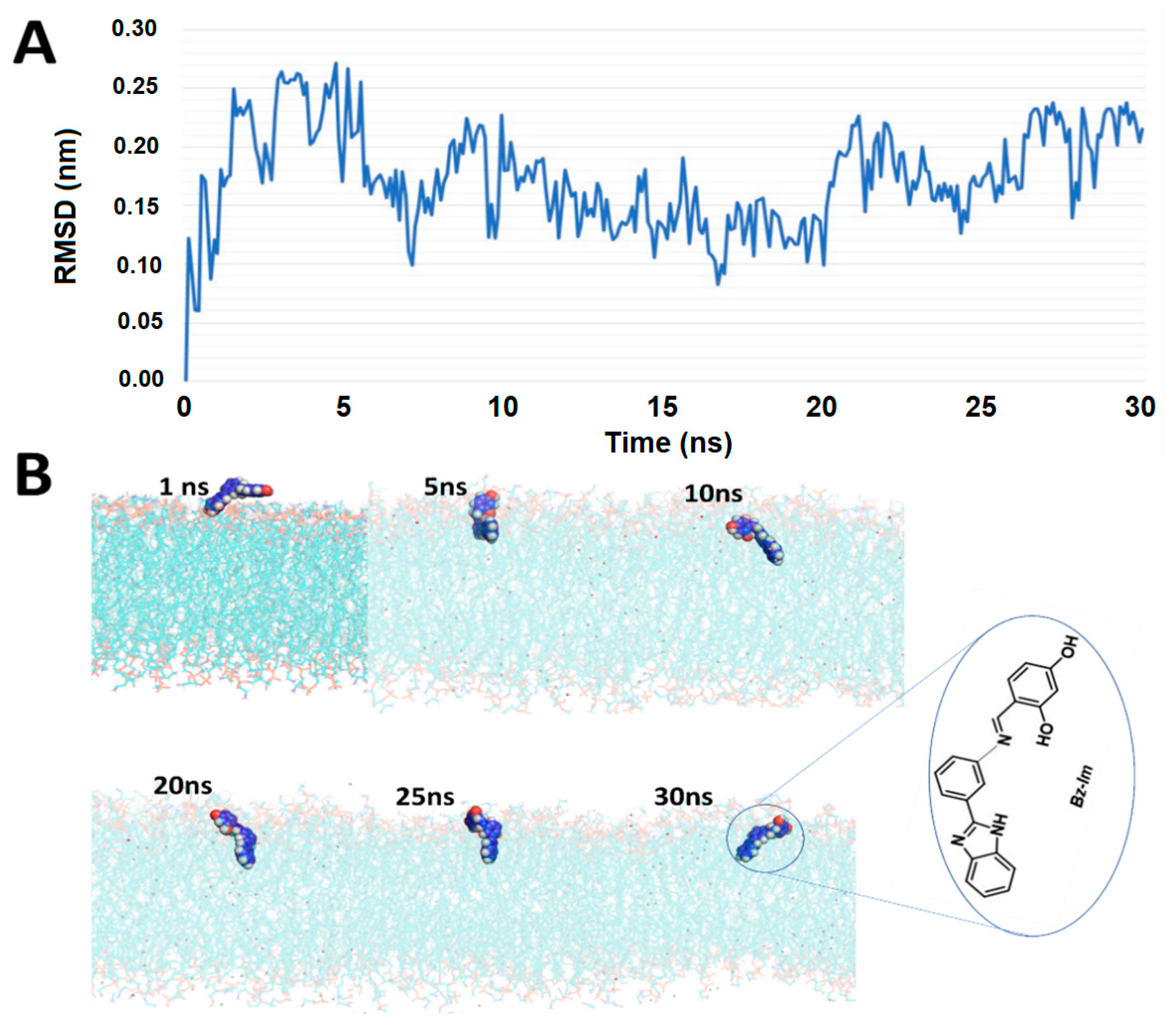 Membranes 11 00449 g004 Membranes 11 00449 g004