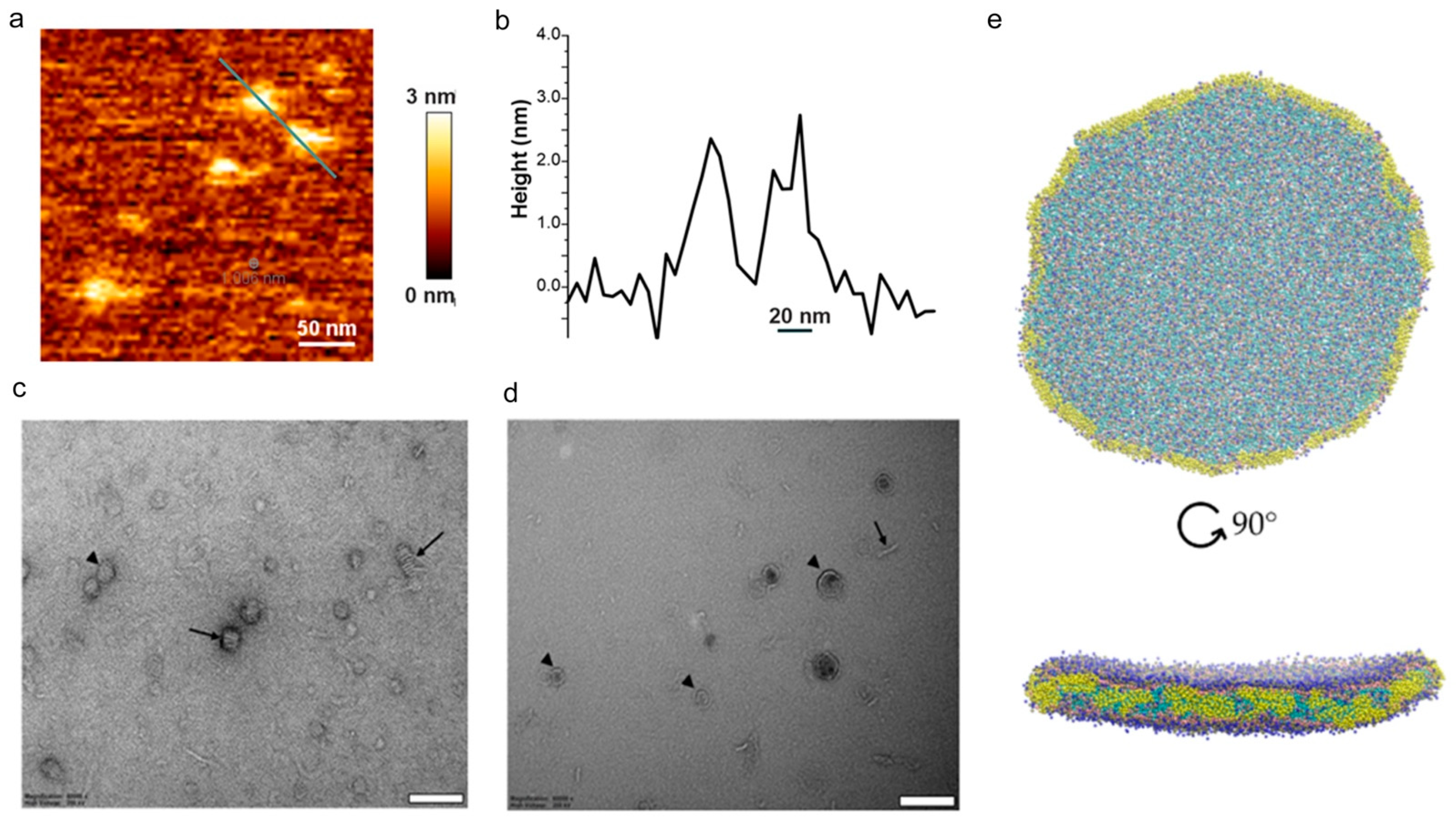 Membranes 11 00451 g002 Membranes 11 00451 g002