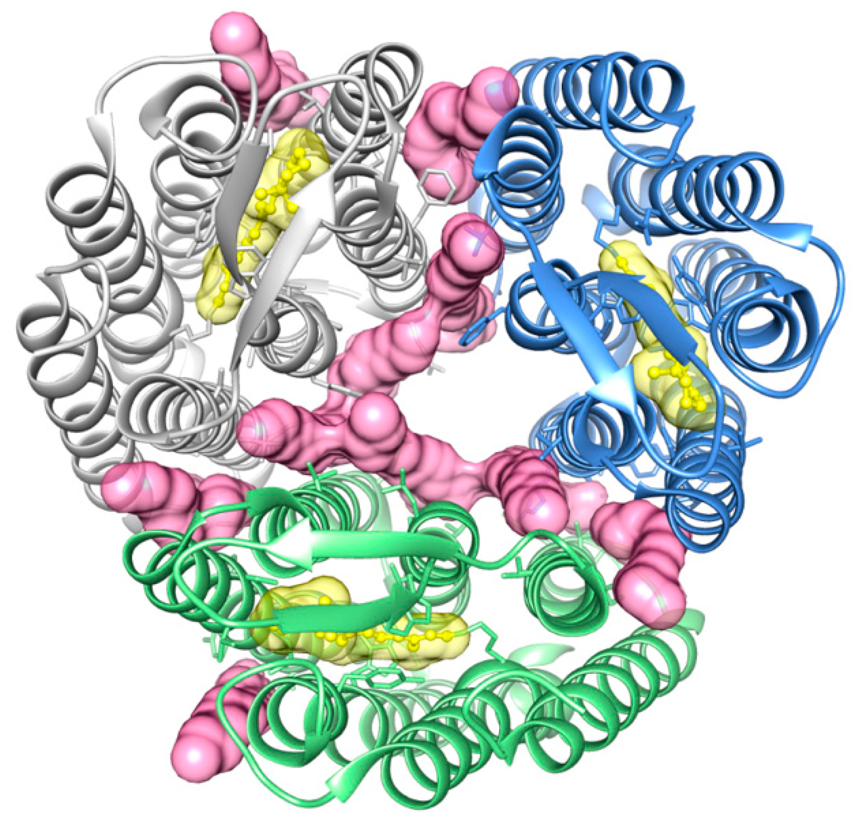 Membranes 11 00451 g004 Membranes 11 00451 g004