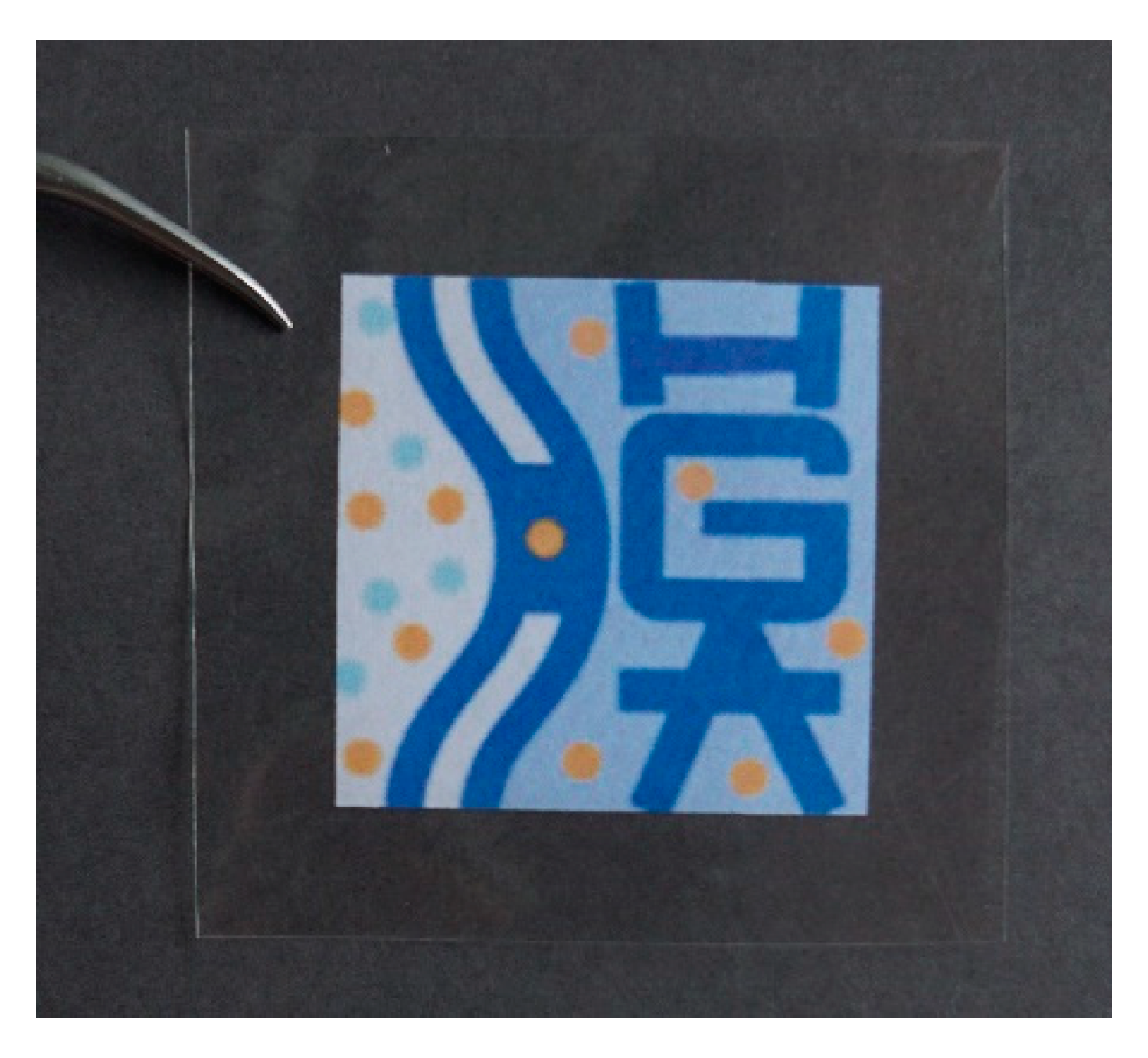 Membranes 11 00452 g004