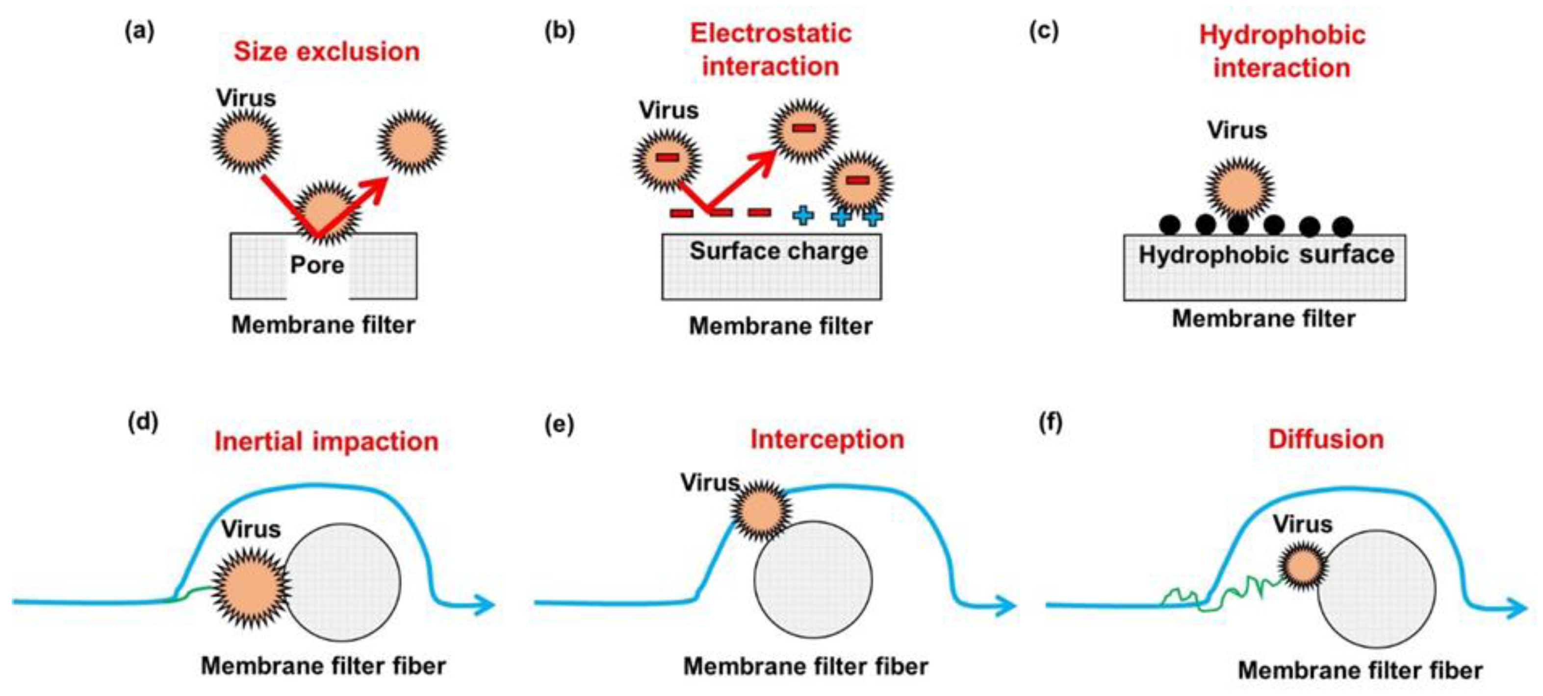 Membranes 11 00458 g001