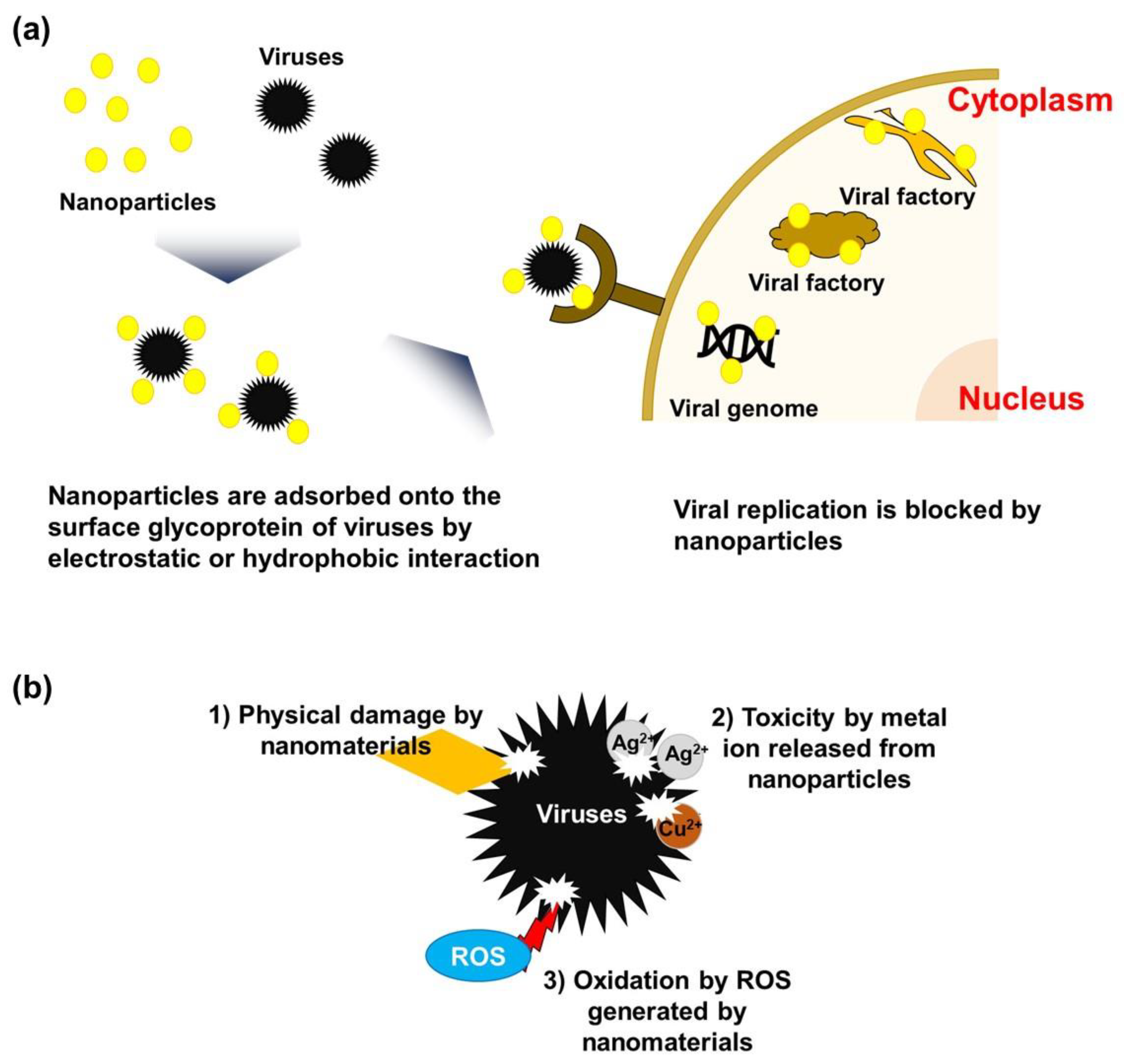 Membranes 11 00458 g002