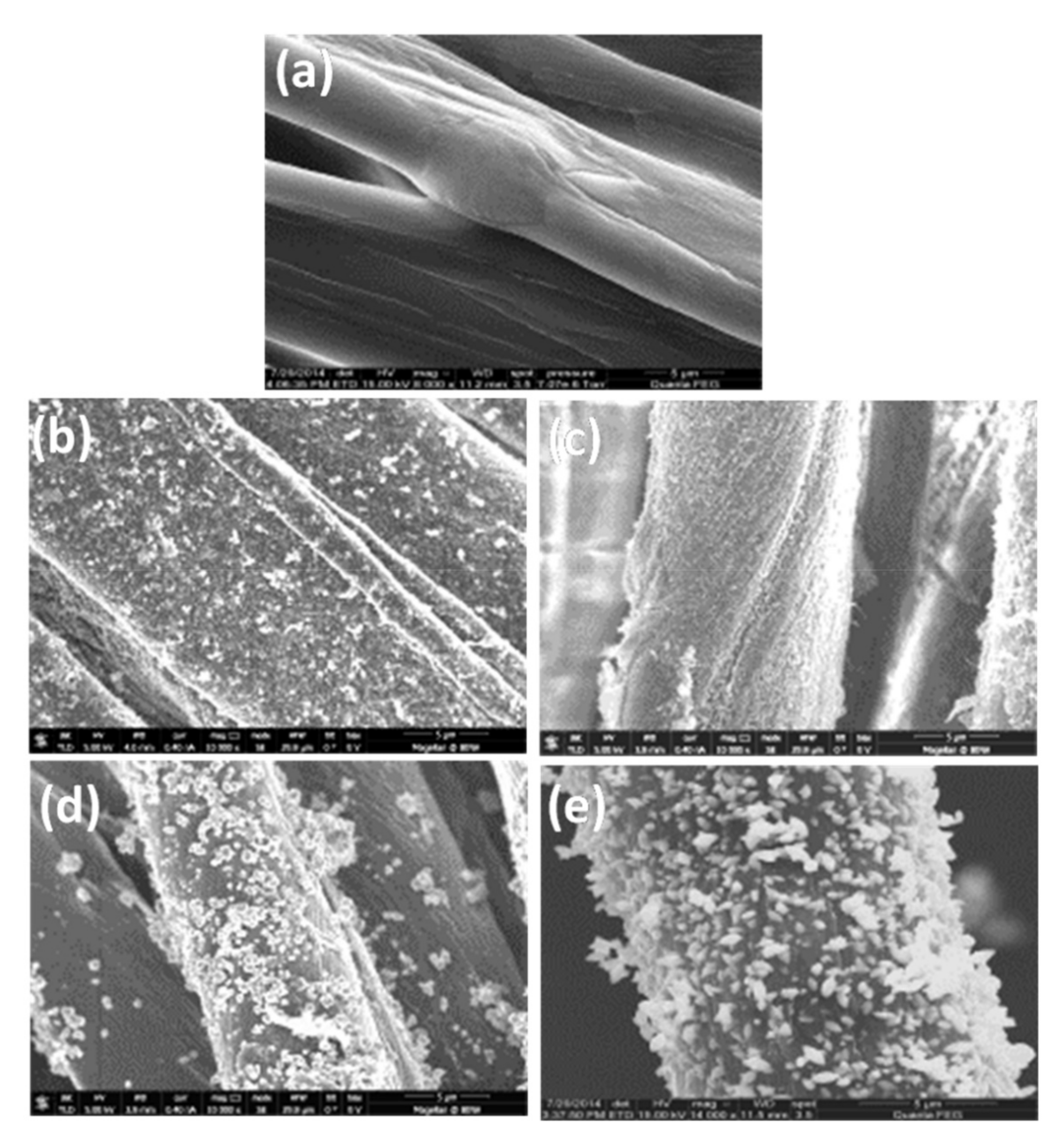 Membranes 11 00462 g001