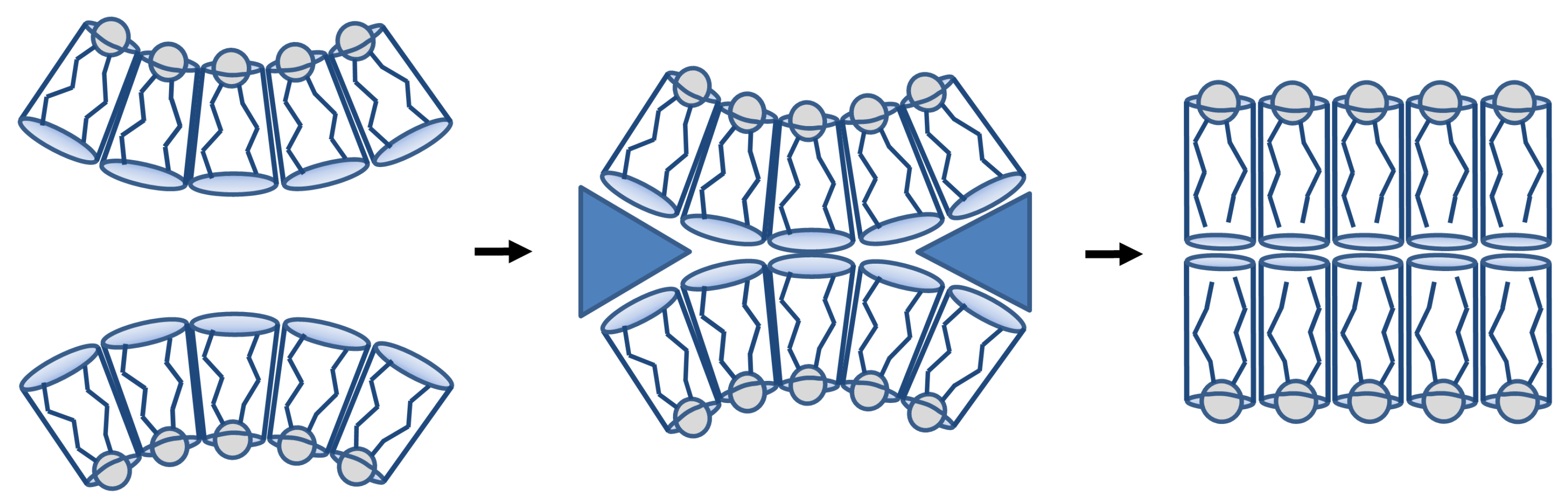 Membranes 11 00465 g005