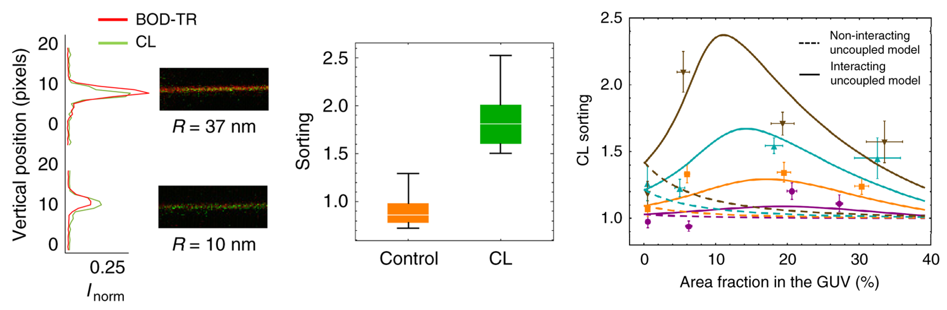 Membranes 11 00465 g008