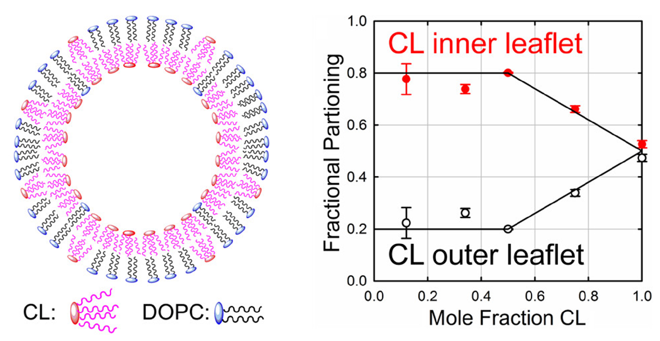 Membranes 11 00465 g009