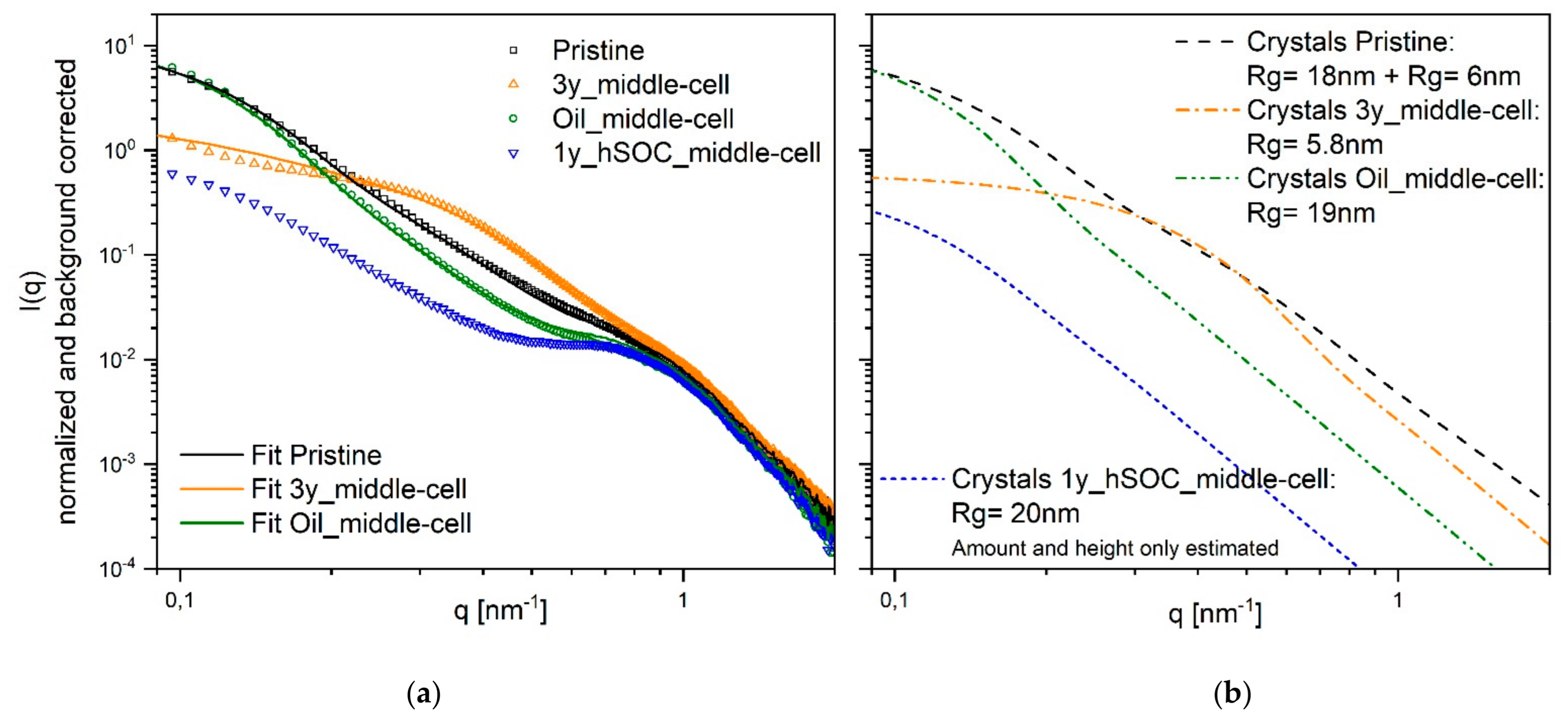 Membranes 11 00469 g004