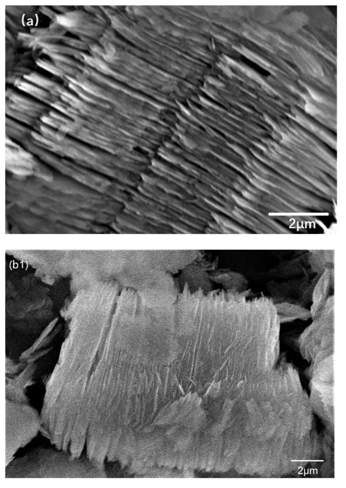 Membranes 11 00483 g005a