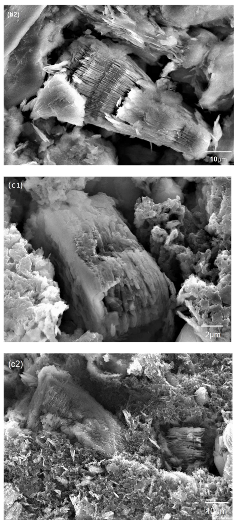 Membranes 11 00483 g005b