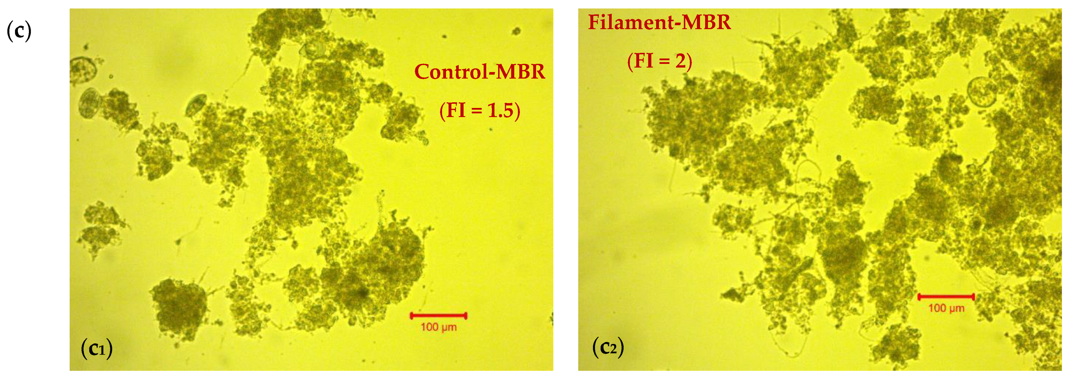 Membranes 11 00490 g002b