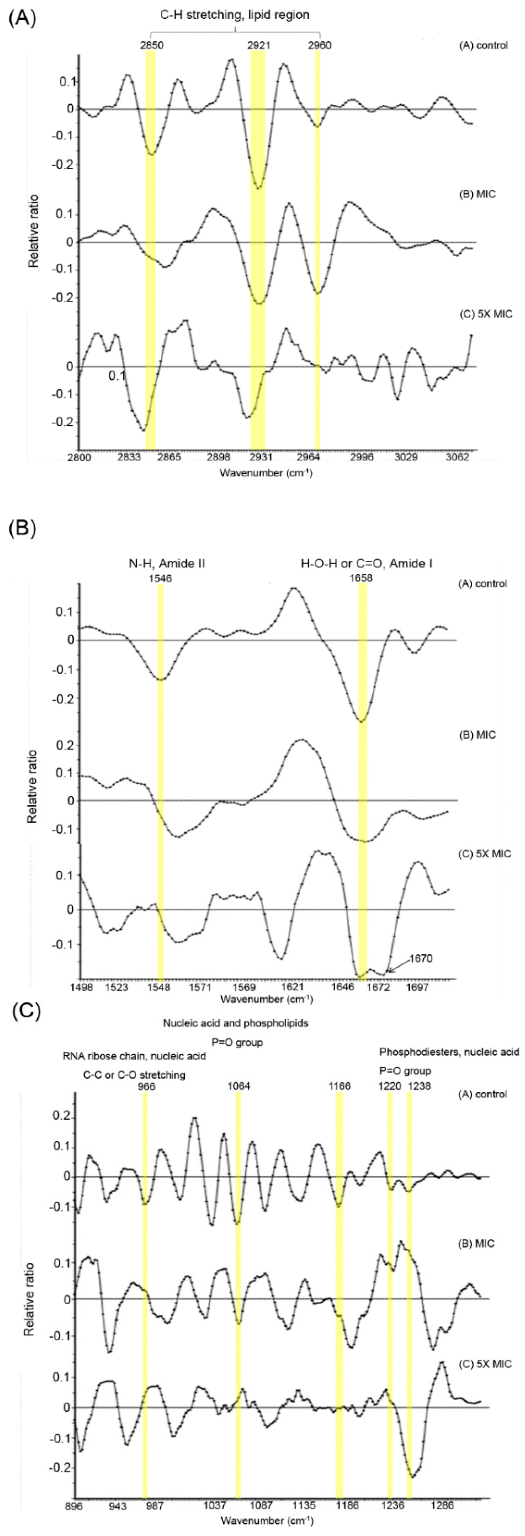 Membranes 11 00495 g001