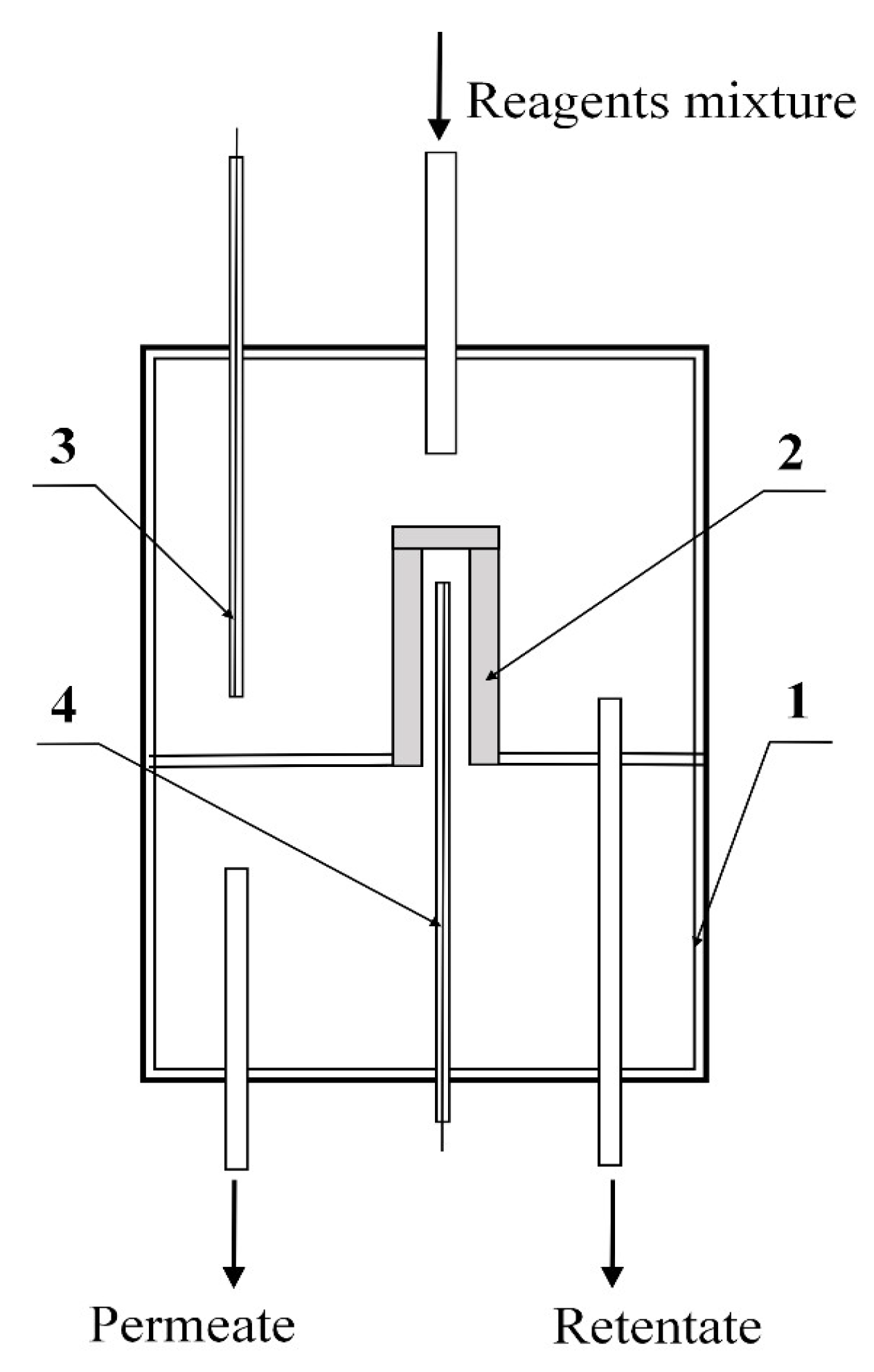 Membranes 11 00497 g001