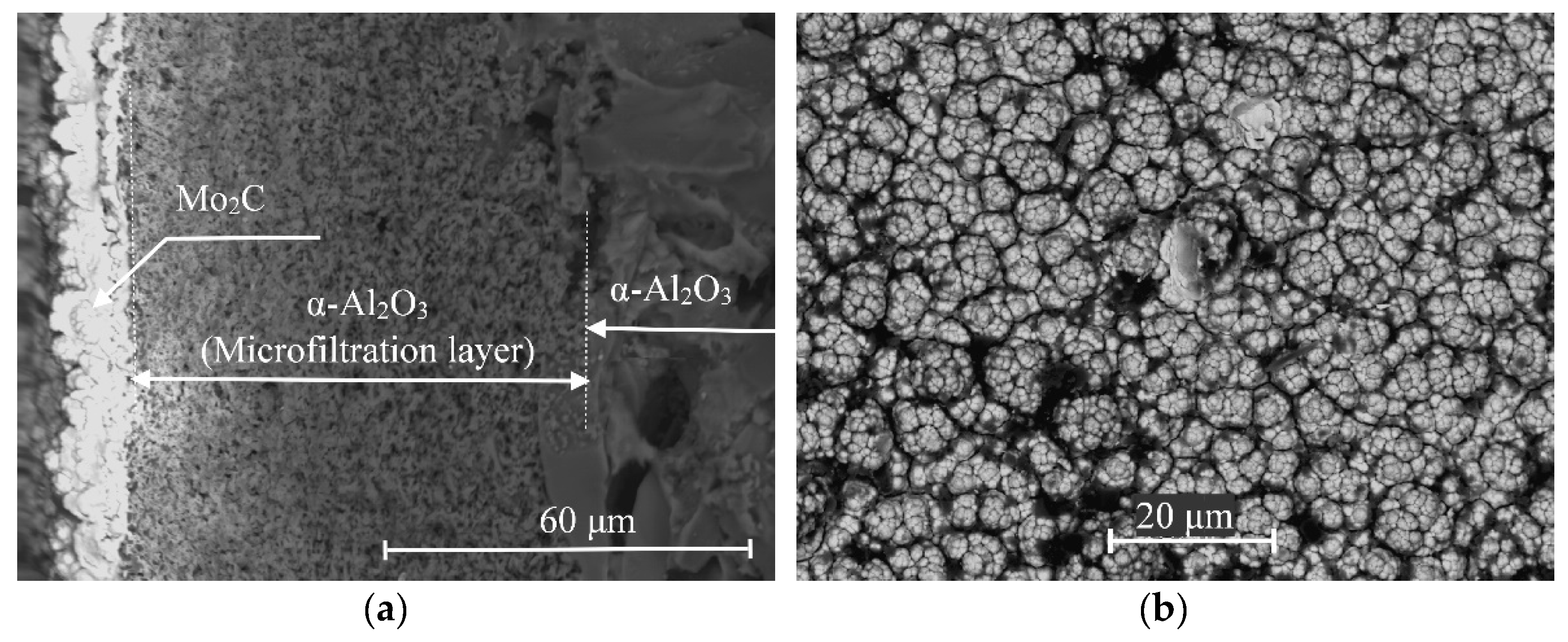 Membranes 11 00497 g003