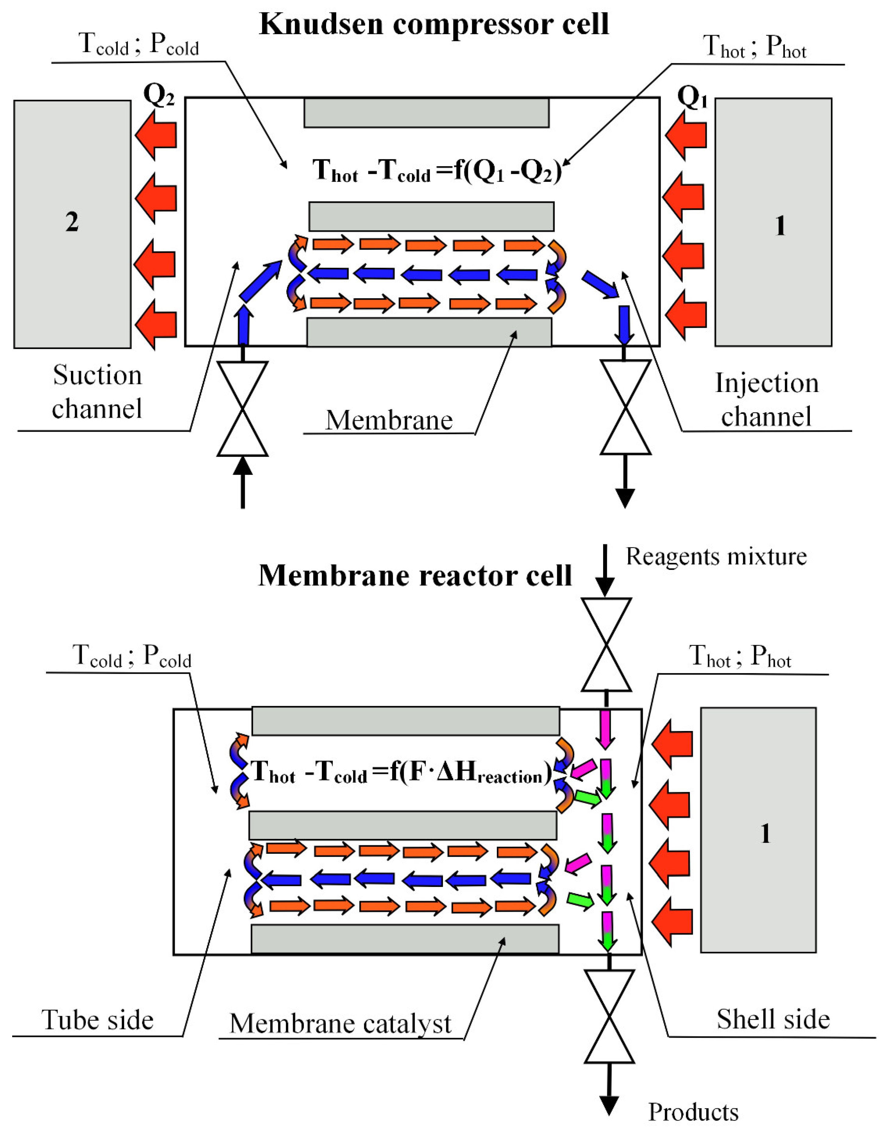 Membranes 11 00497 g008