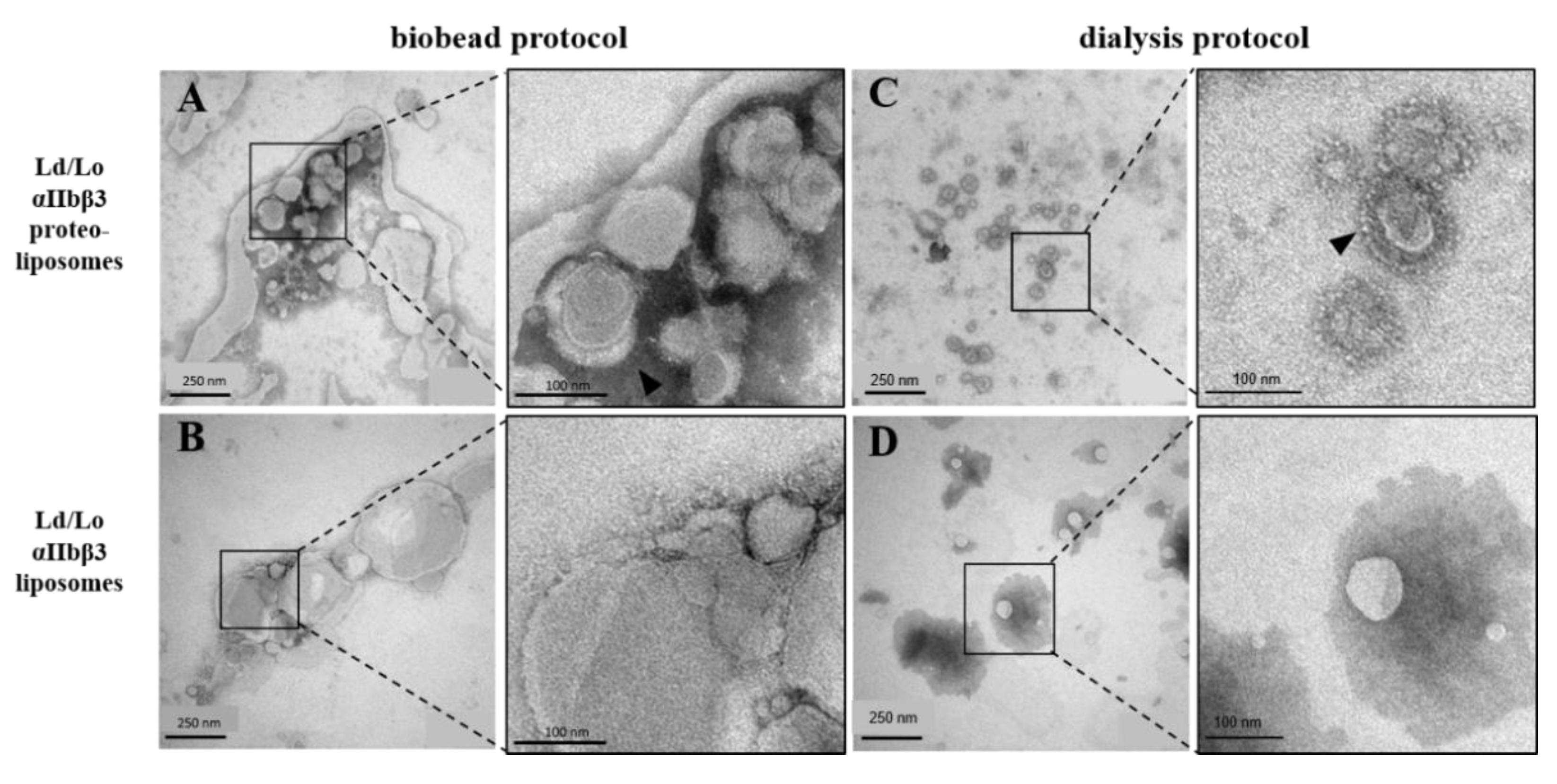 Membranes 11 00499 g002