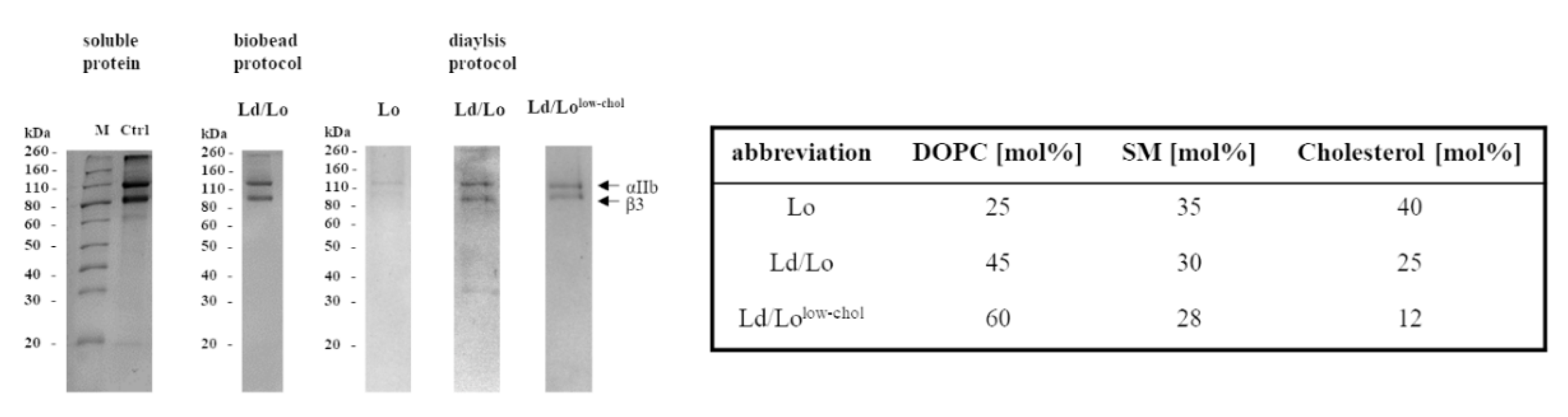 Membranes 11 00499 g003