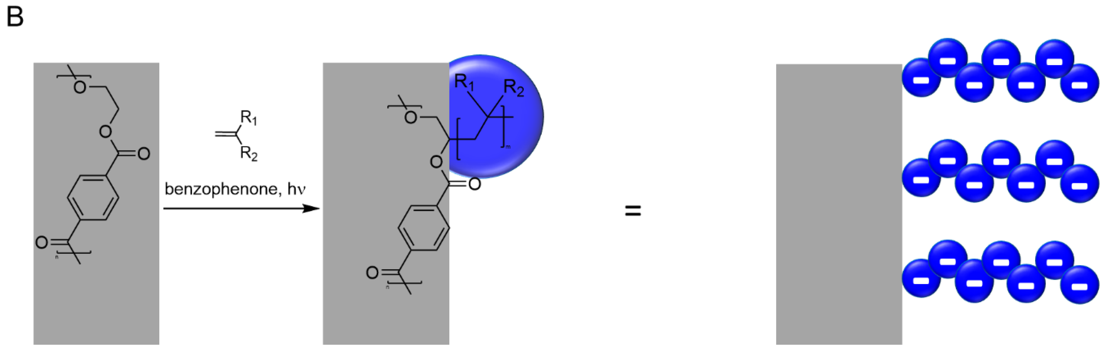 Membranes 11 00509 sch002b