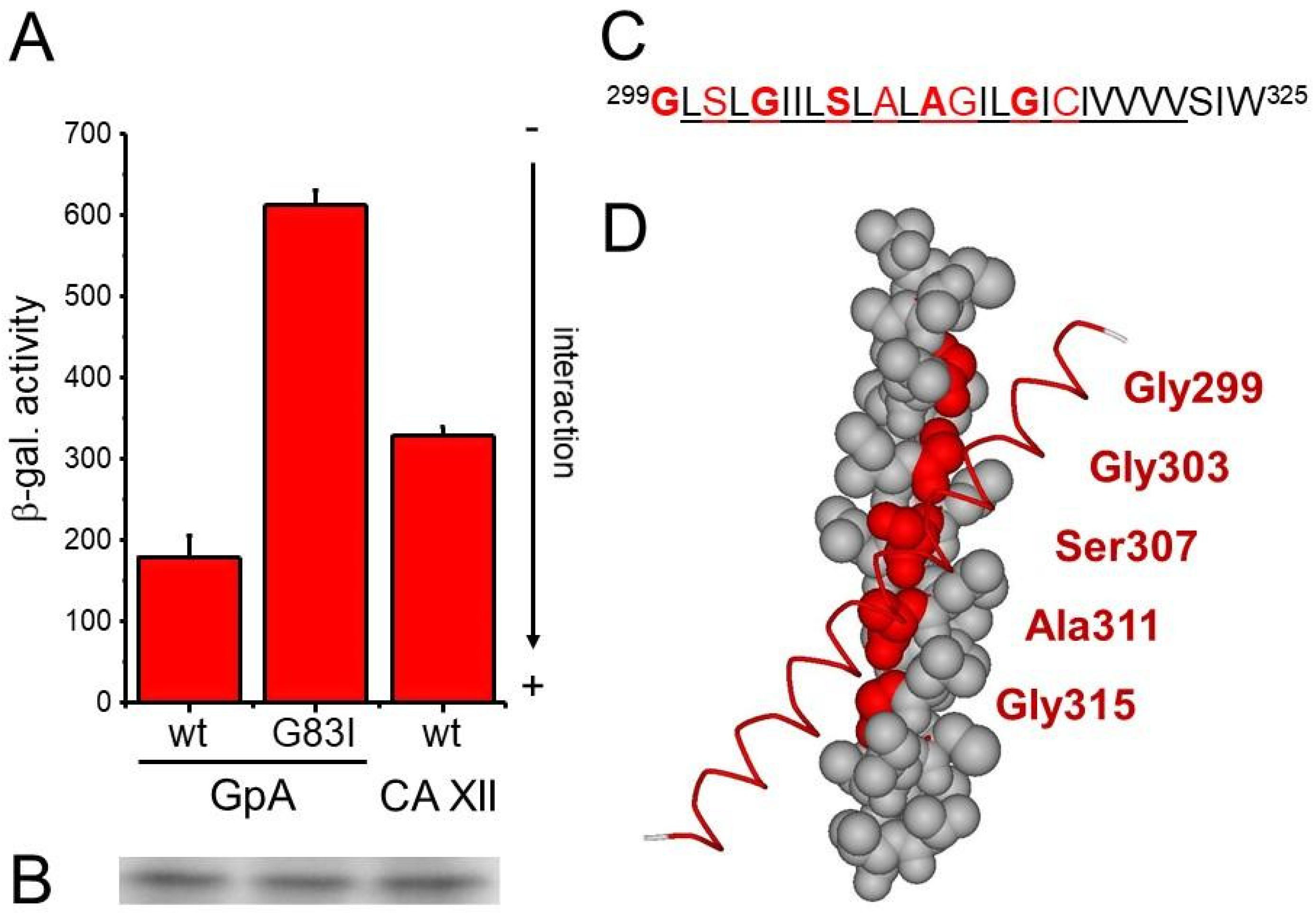 Membranes 11 00512 g001 Membranes 11 00512 g001