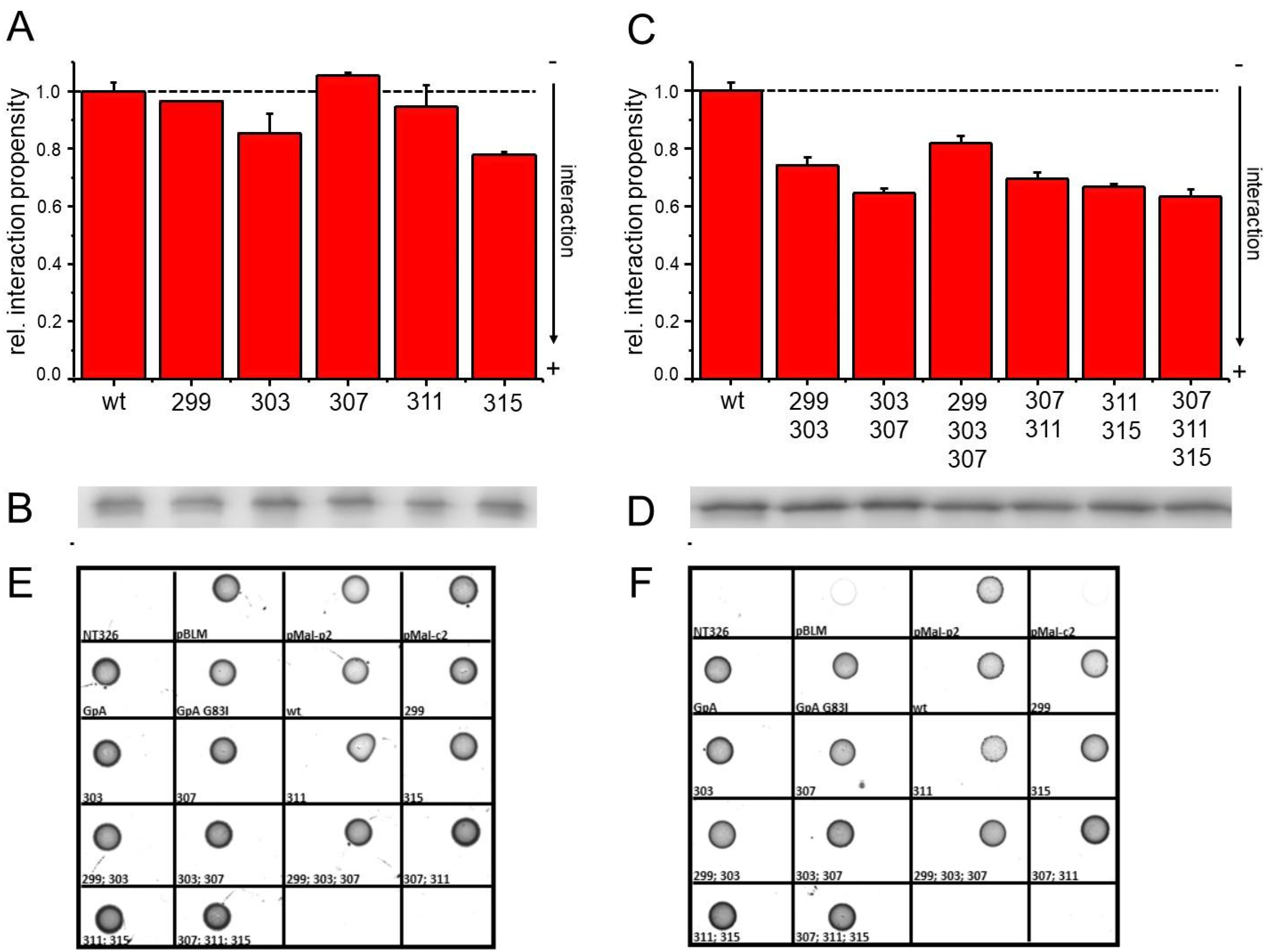 Membranes 11 00512 g002 Membranes 11 00512 g002
