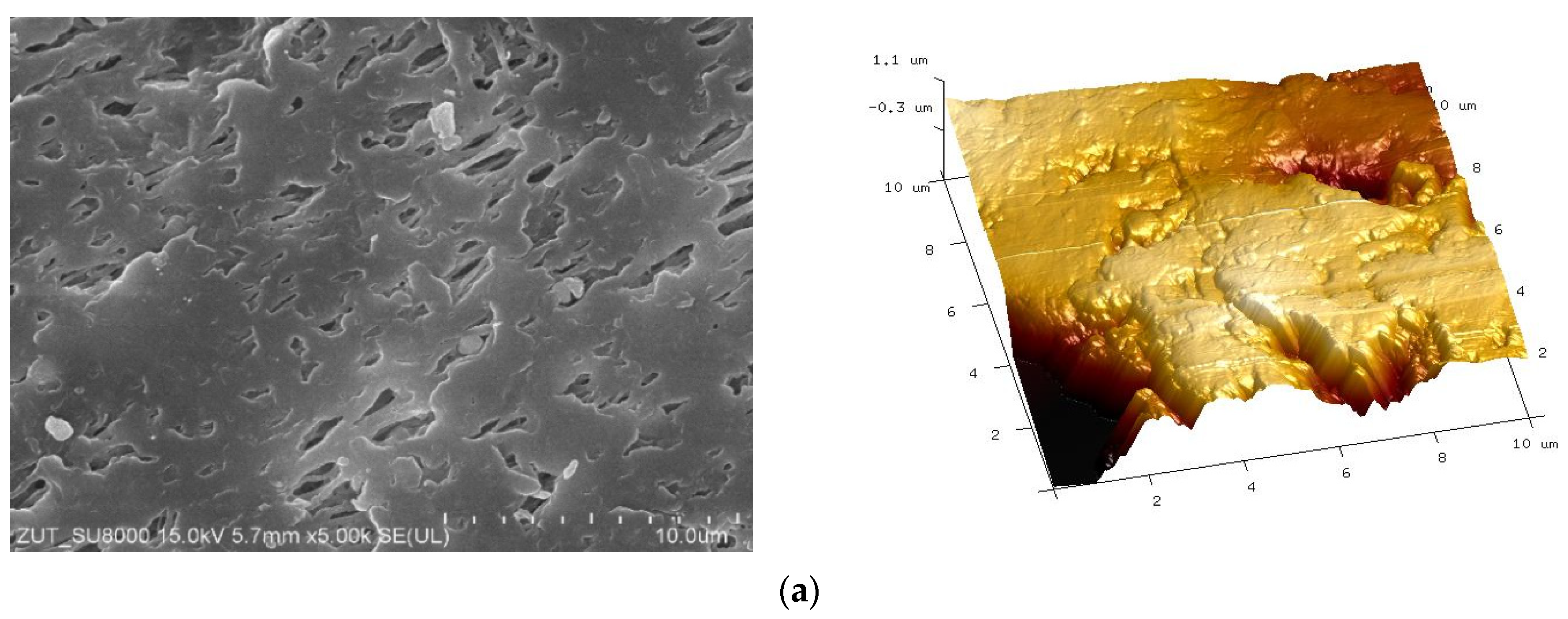 Membranes 11 00531 g006a