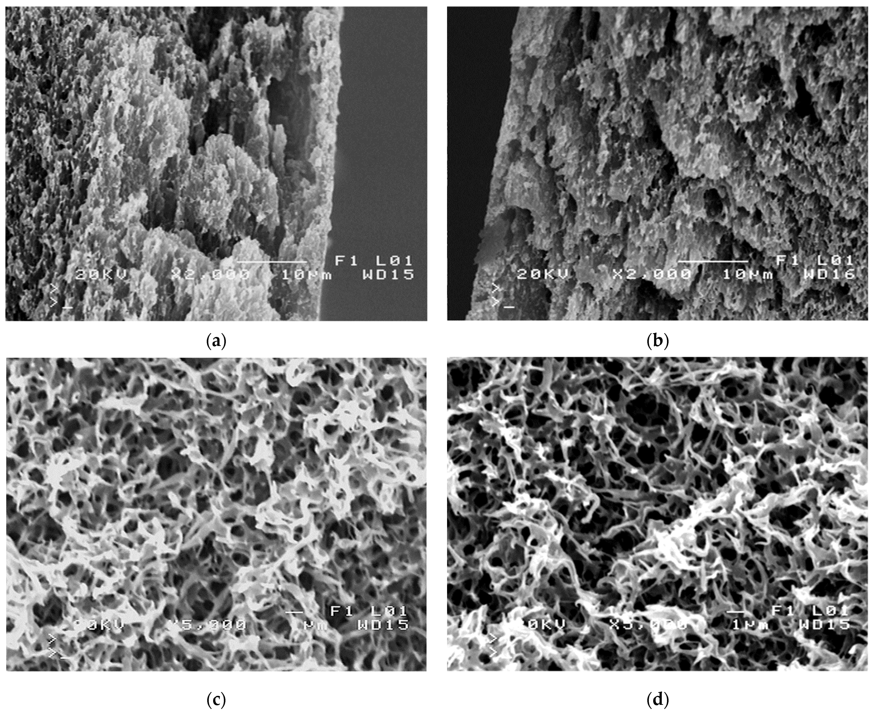 Membranes 11 00531 g007