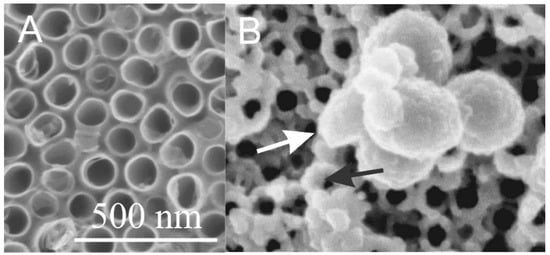 Membranes 11 00533 g004